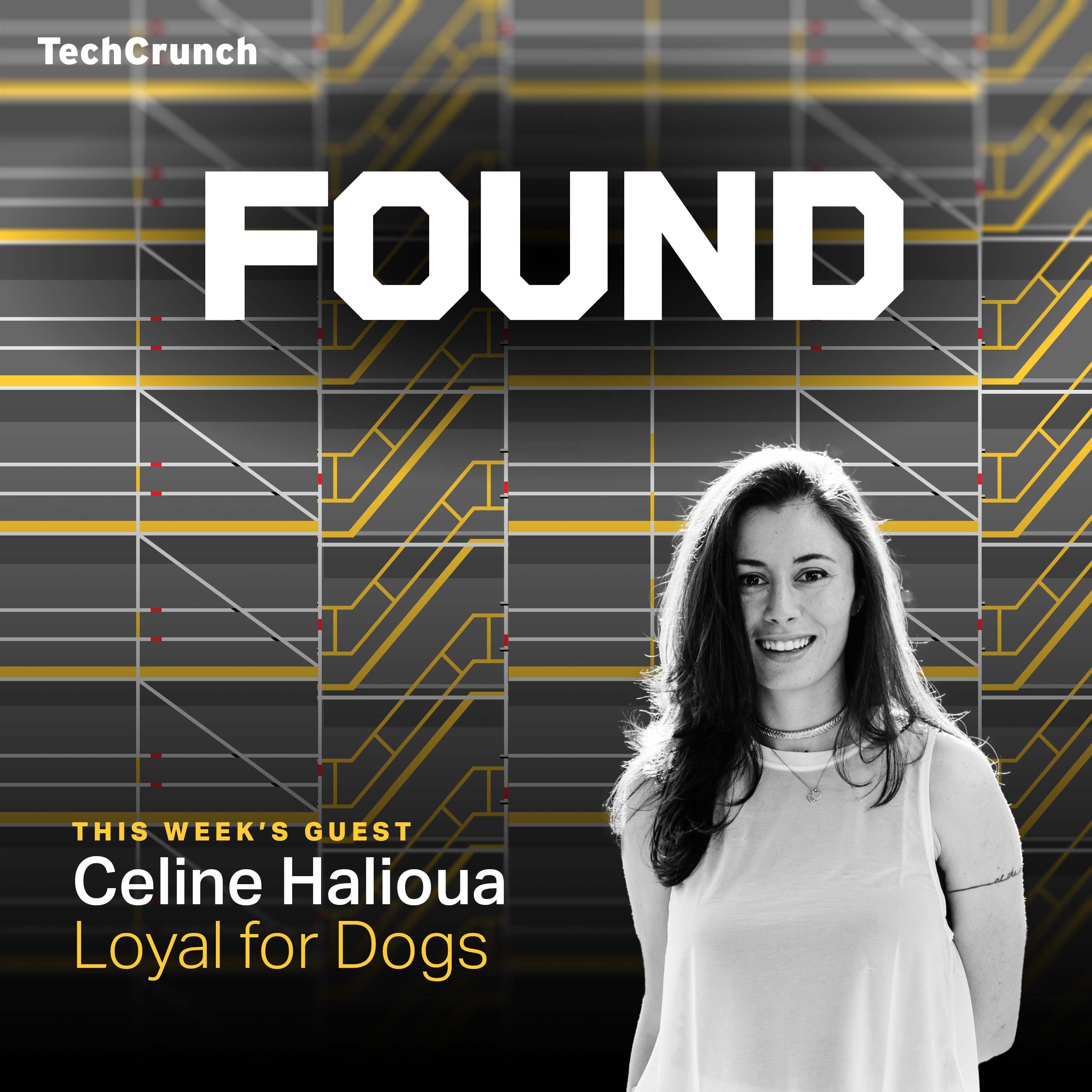 Celine Halioua, Loyal