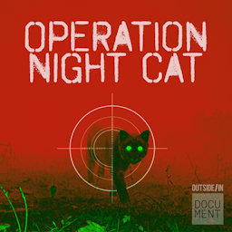 Operation Night Cat