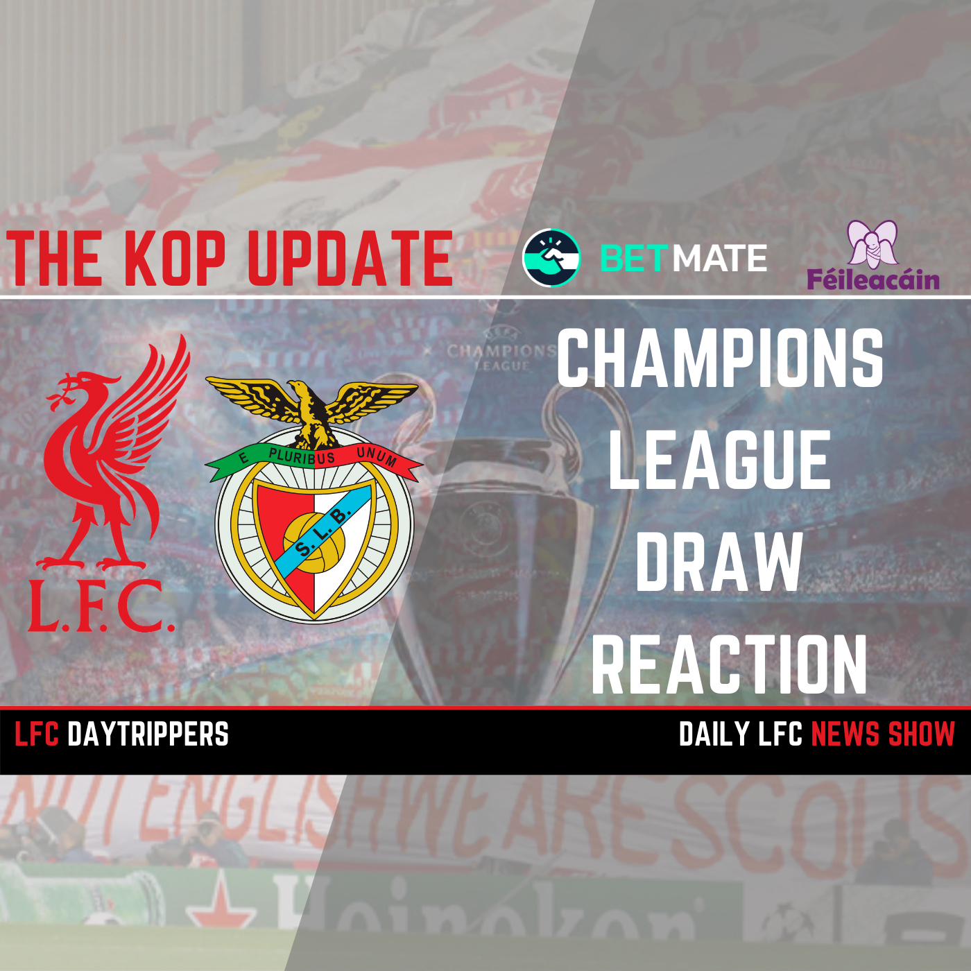 Champions League Draw Reaction | The Kop Update episode artwork