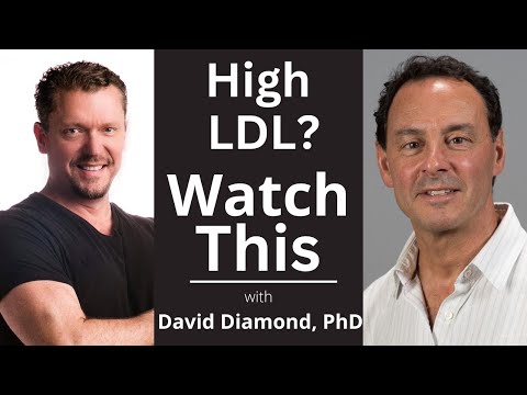 High Cholesterol is Healthy! [with David Diamond, PhD]