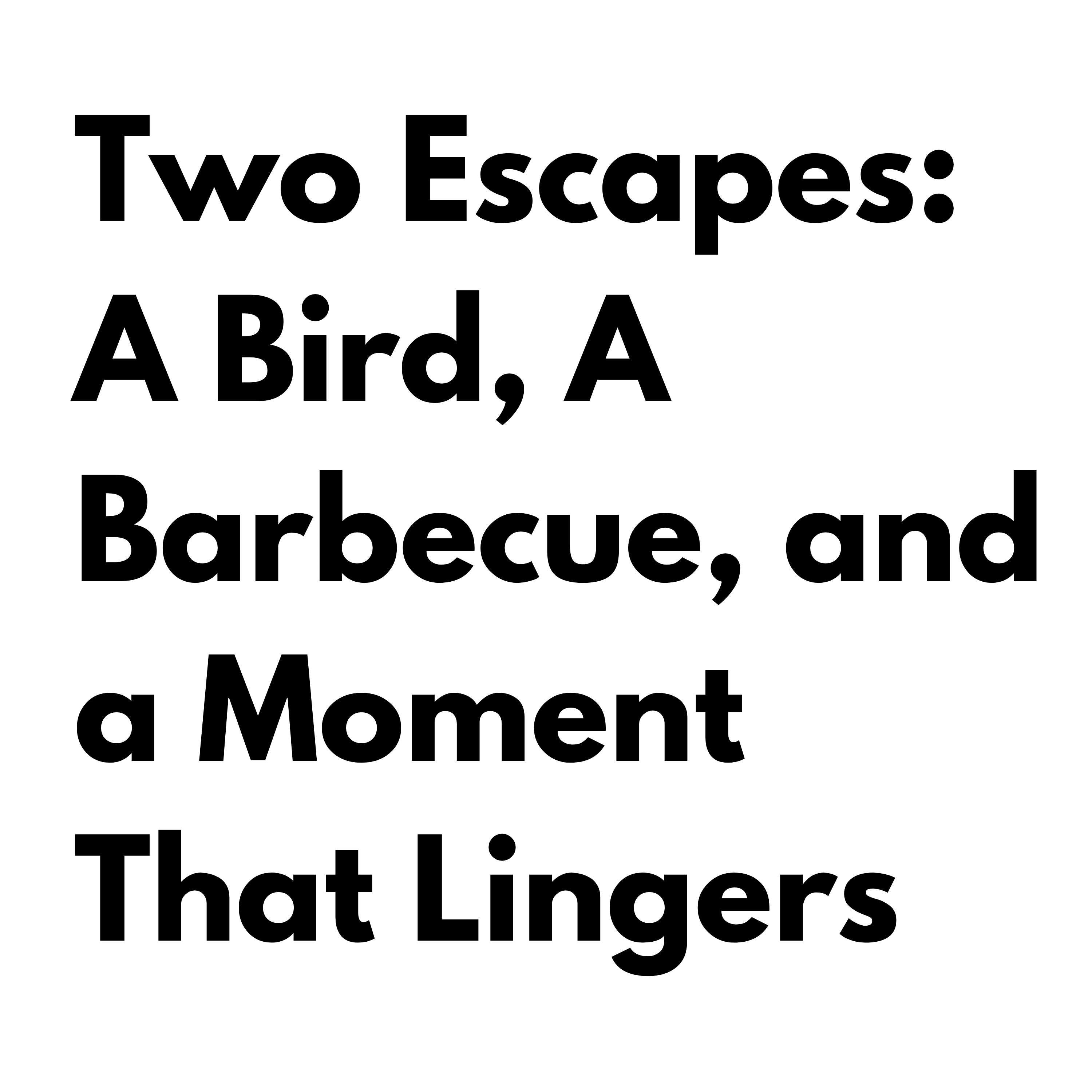 Two Escapes: A Bird, A Barbecue, and a Moment That Lingers