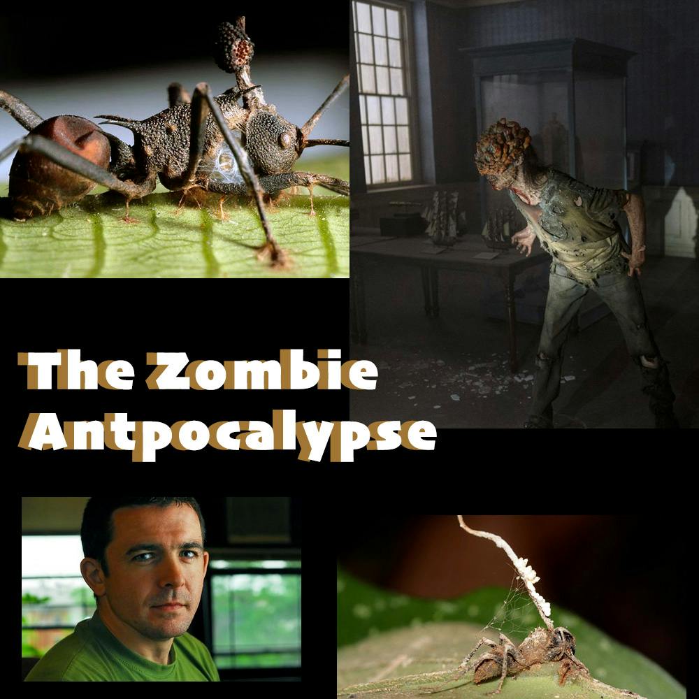 FTA66 - The Zombie Antpocalypse