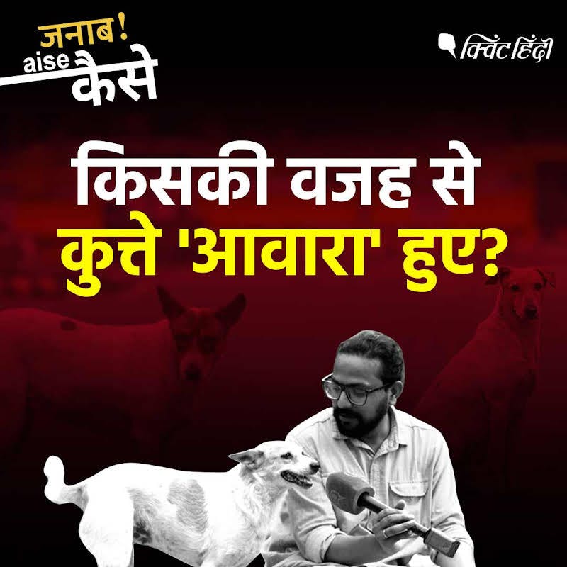 Ground Report: SC Wants Stray Dogs Removed, But Where Will Delhi Send Them? | The Quint Ground Report: SC Wants Stray Dogs Removed, But Where Will Delhi Send Them? | The Quint