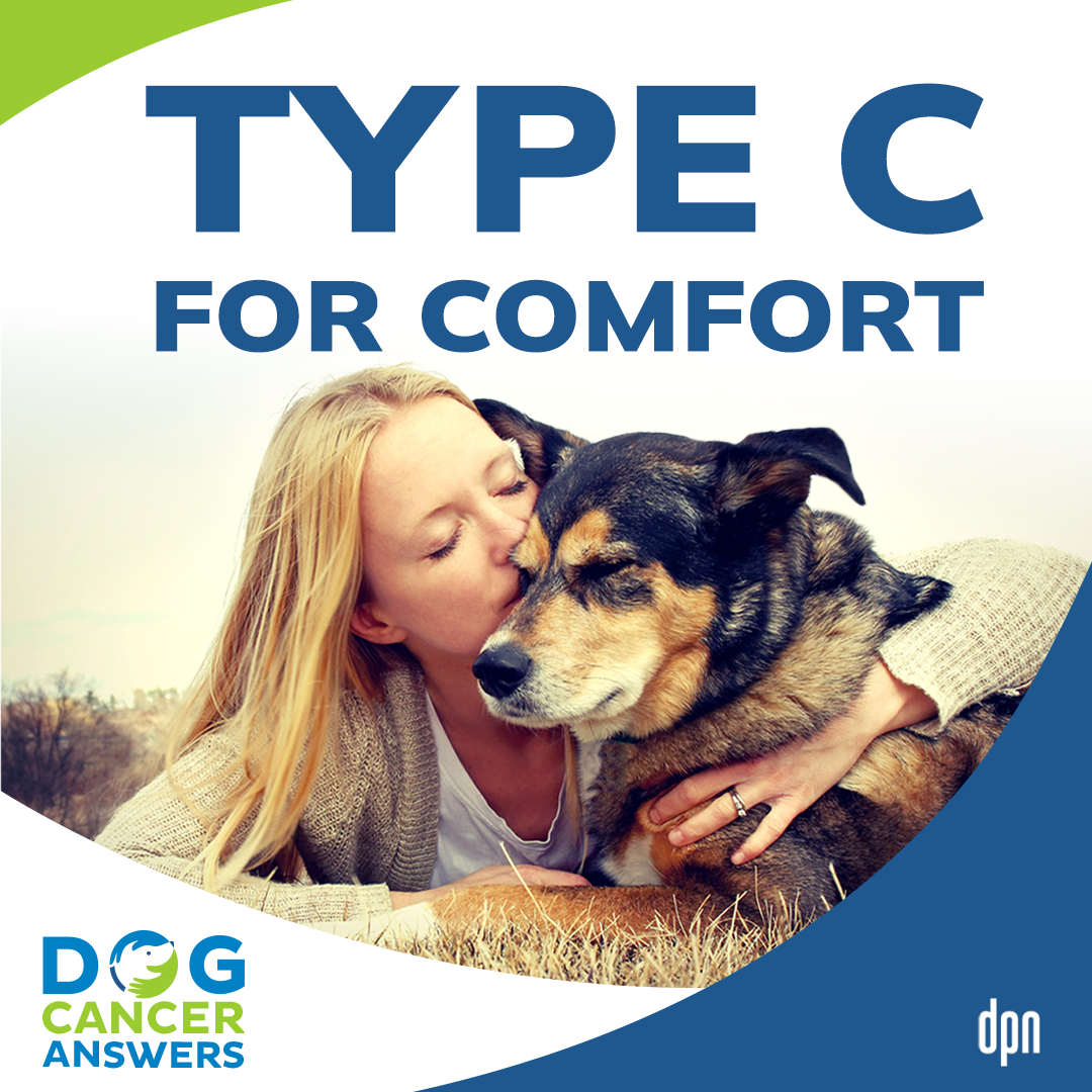 How Type C for Comfort Treats Dog Cancer | Molly Jacobson #134