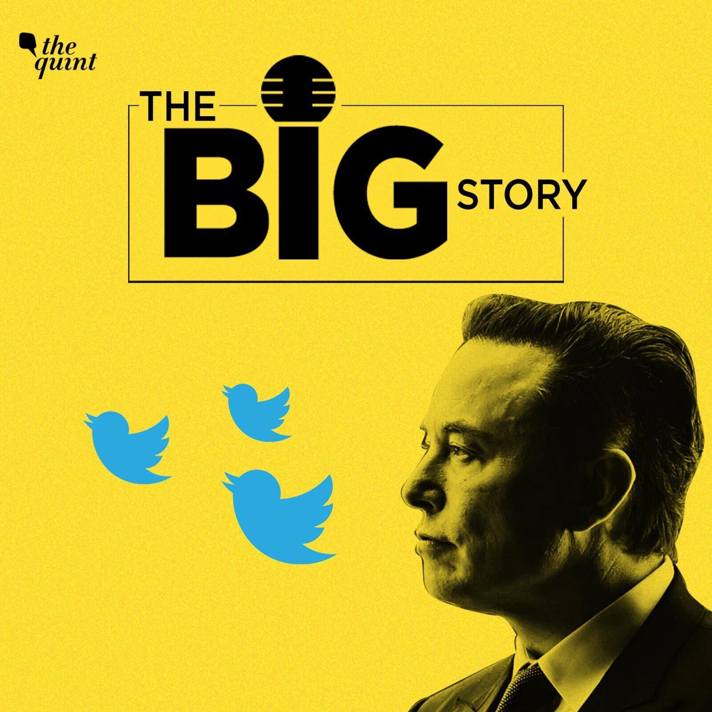 Is Elon Musk’s Idea of 'Freedom of Speech' Right for Twitter?