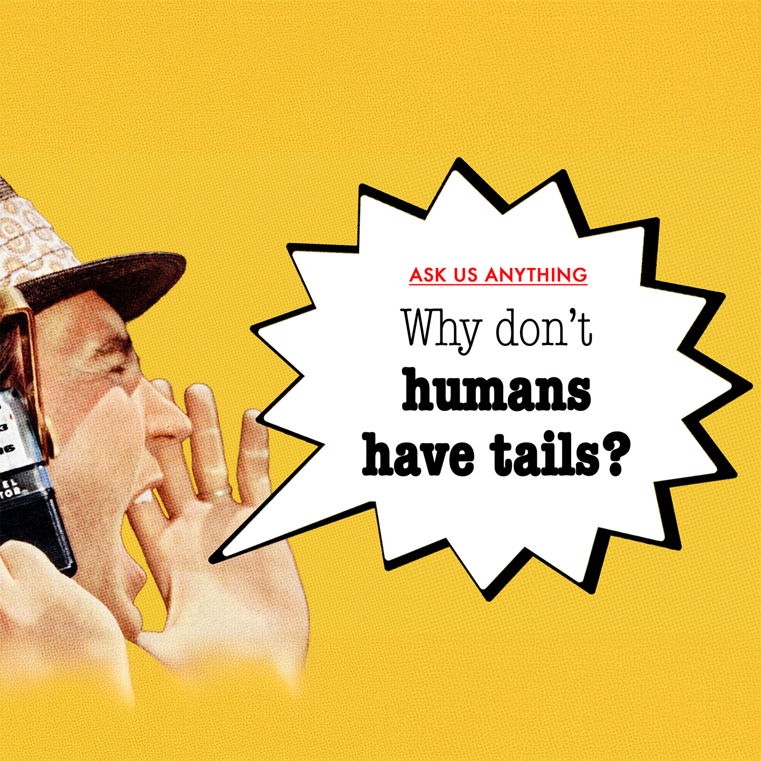 Ask Us Anything by Popular Science