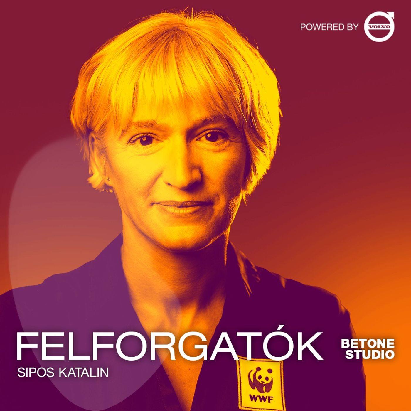 Felforgatók