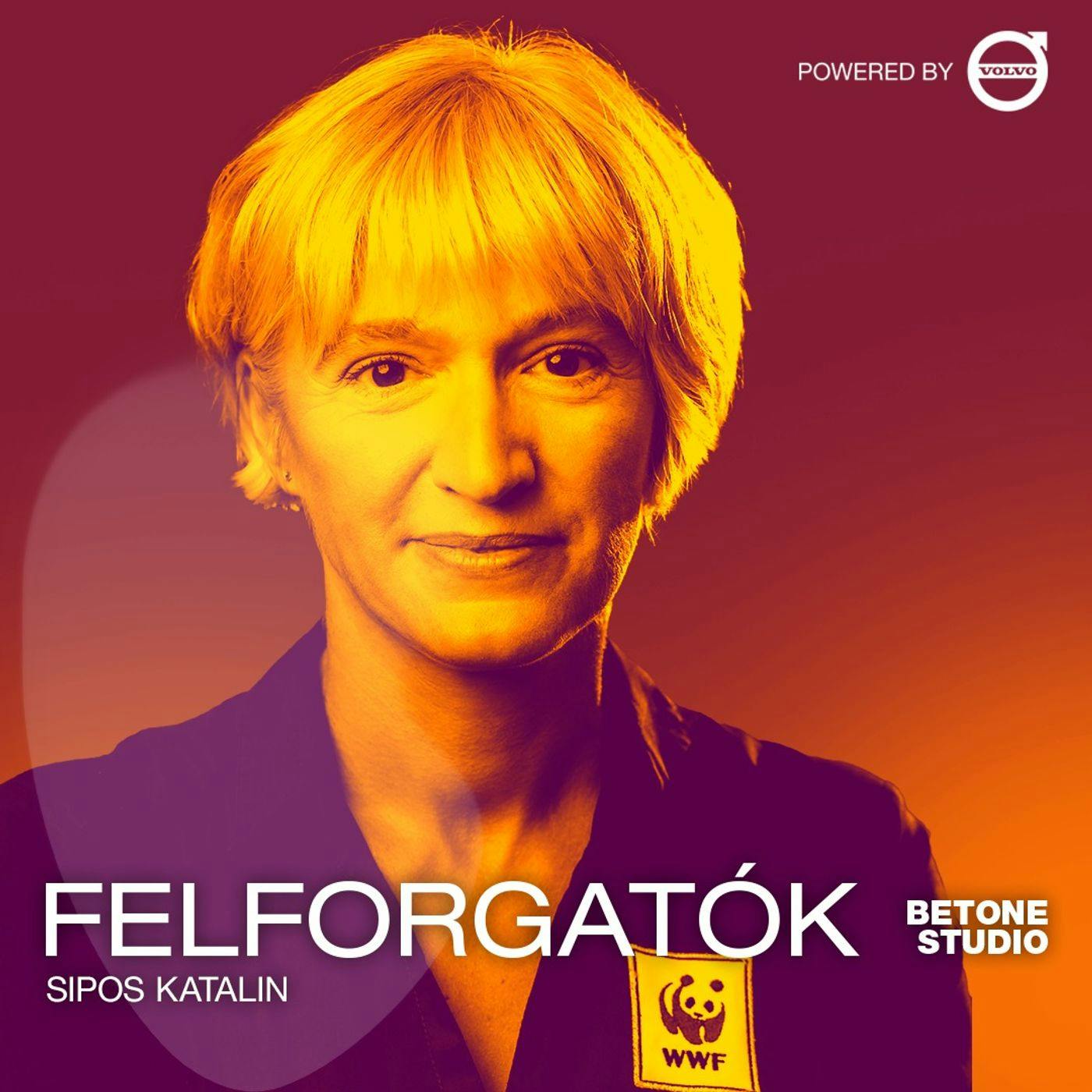 Én alkatilag WWF vagyok - Sipos Katalin Én alkatilag WWF vagyok - Sipos Katalin