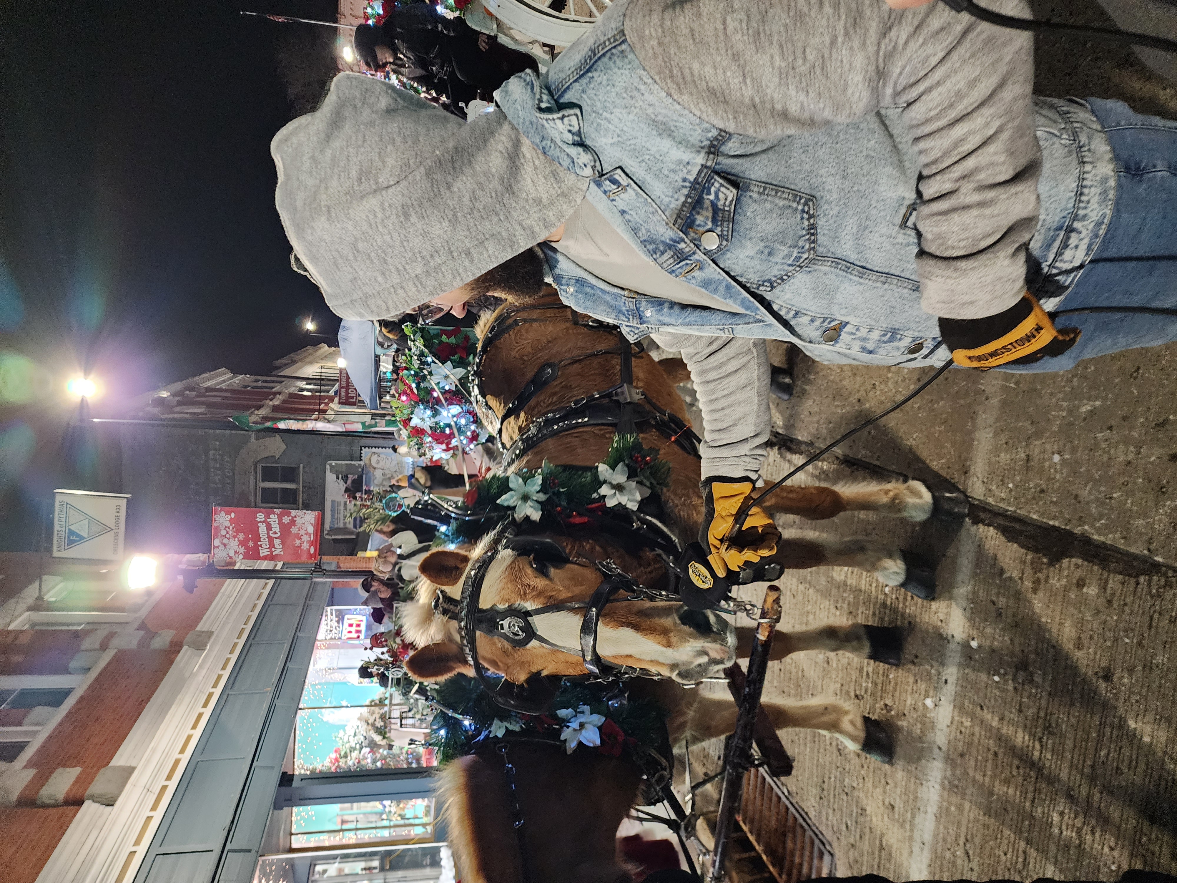 279: Christmas Walk - Man on the Street Style