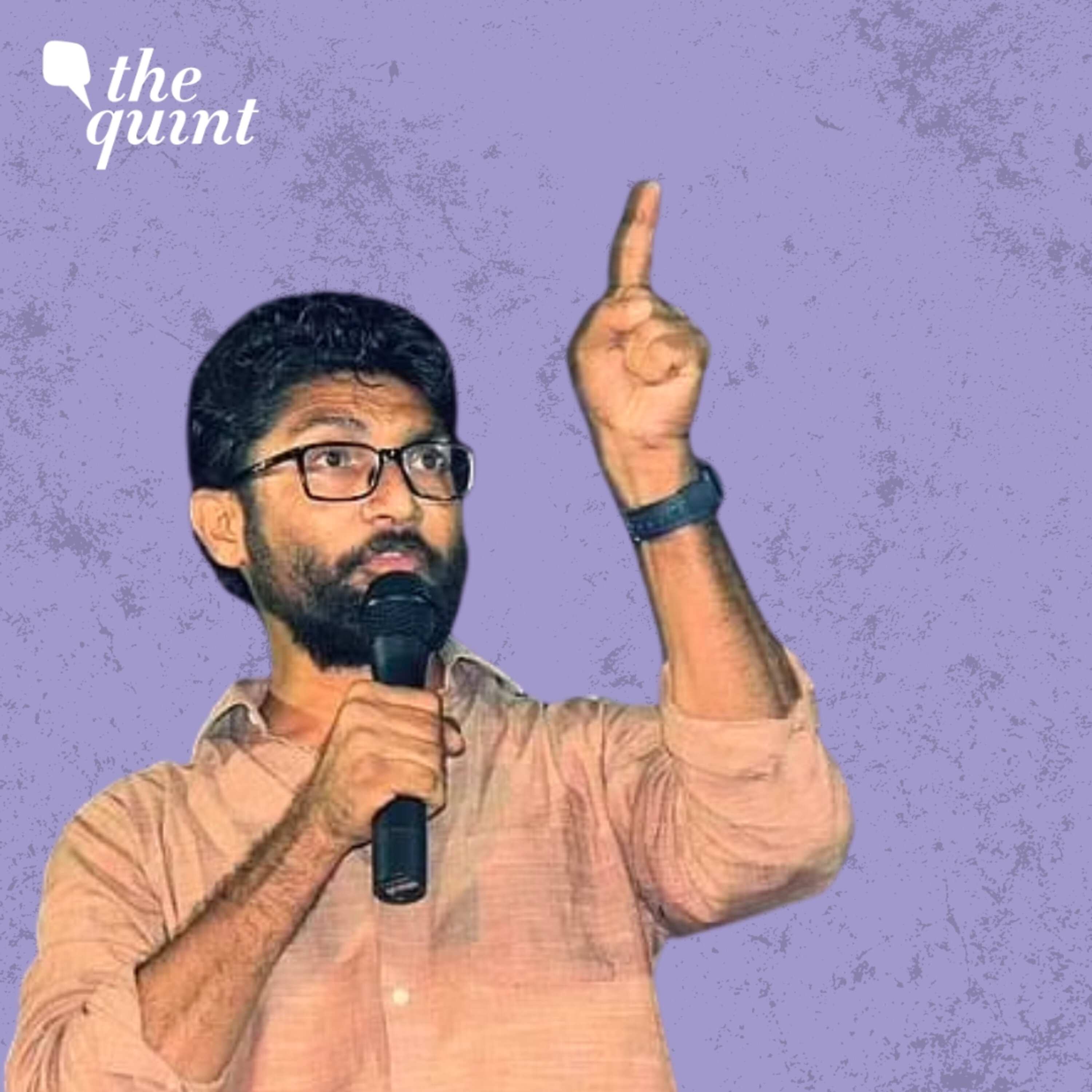 AAP Hype On Social Media, Not in Gujarat's Villages: Jignesh Mevani
