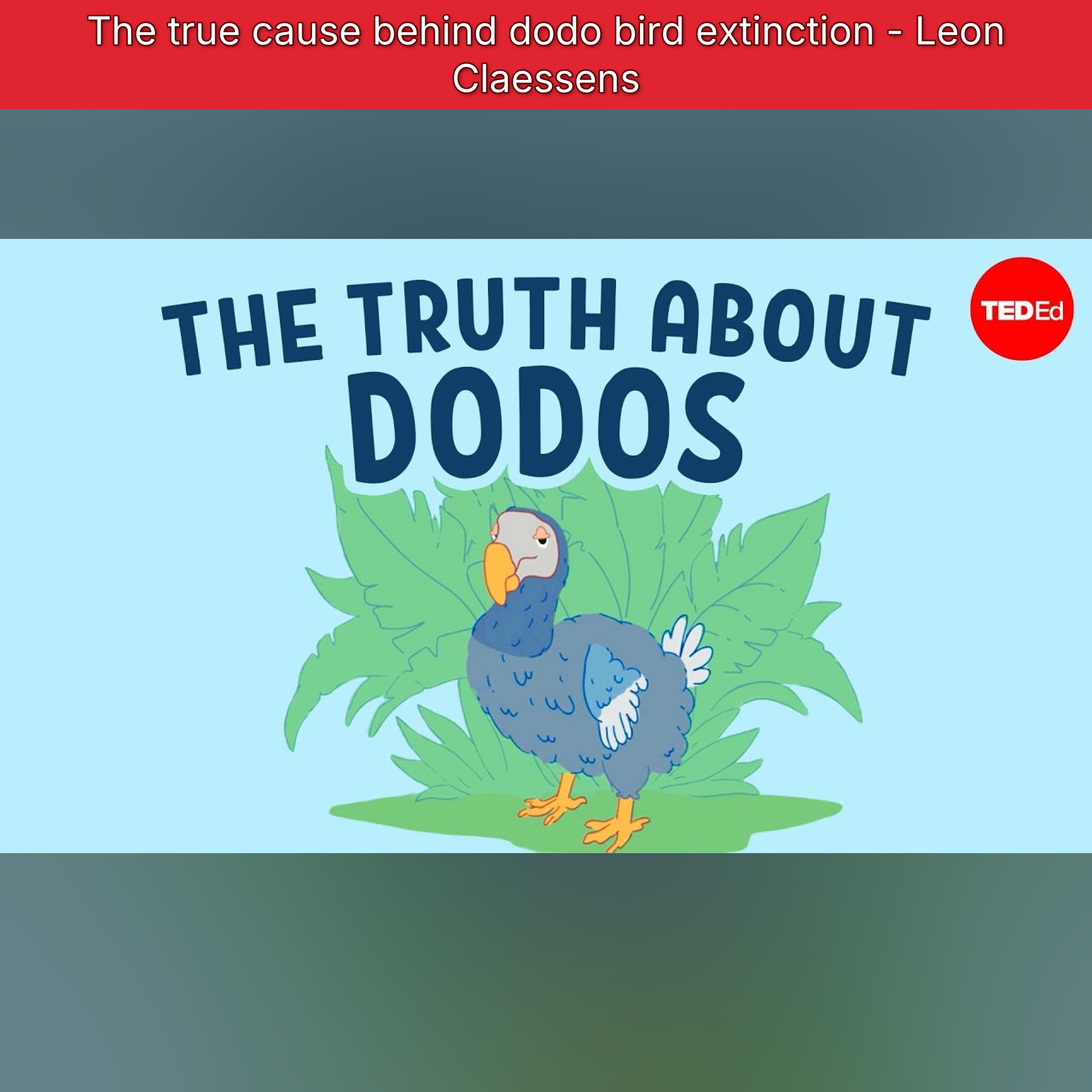 The true cause behind dodo bird extinction - Leon Claessens episode artwork