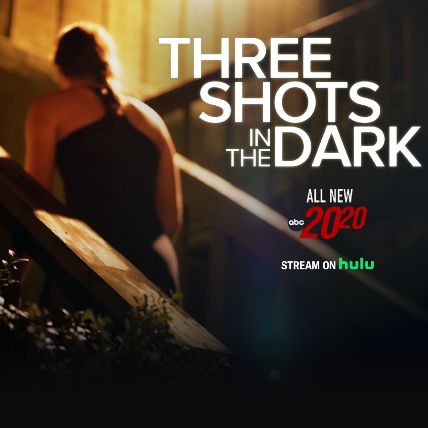 Three Shots in the Dark