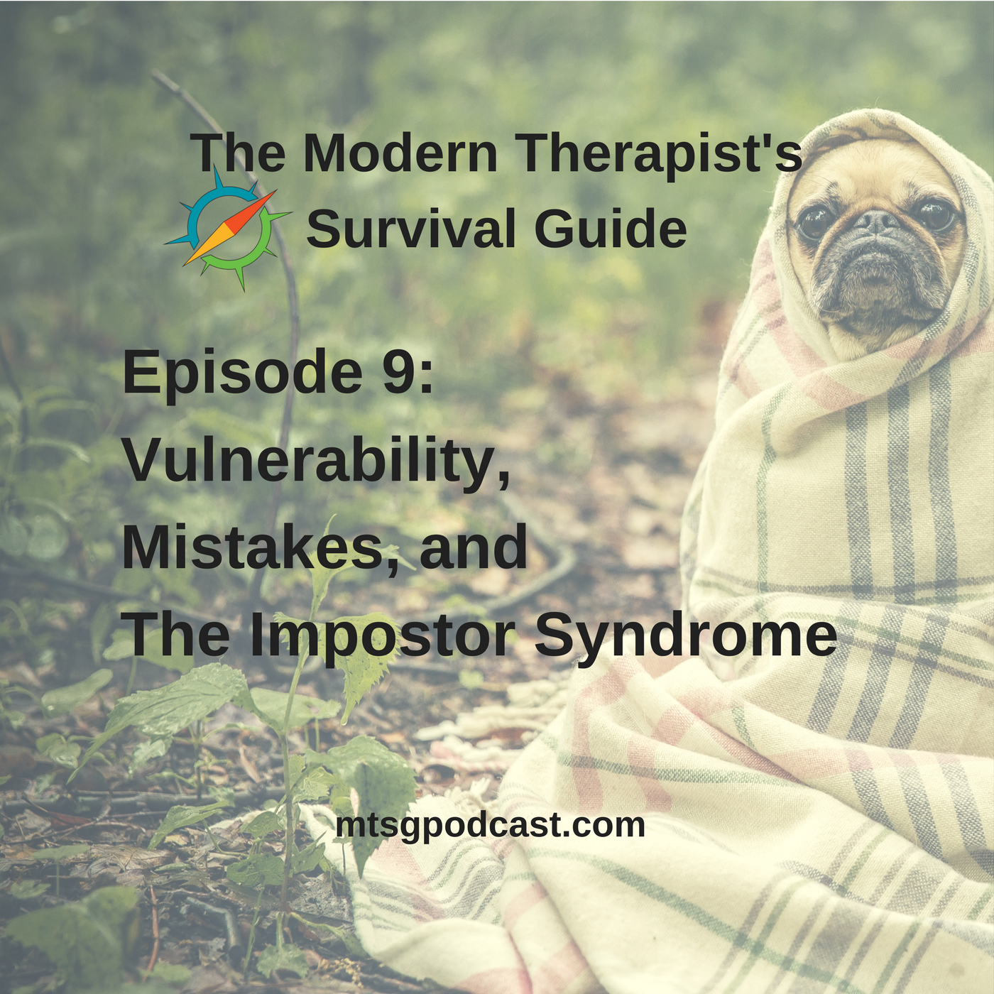 The Modern Therapist\'s Survival Guide with Curt Widhalm and Katie Vernoy