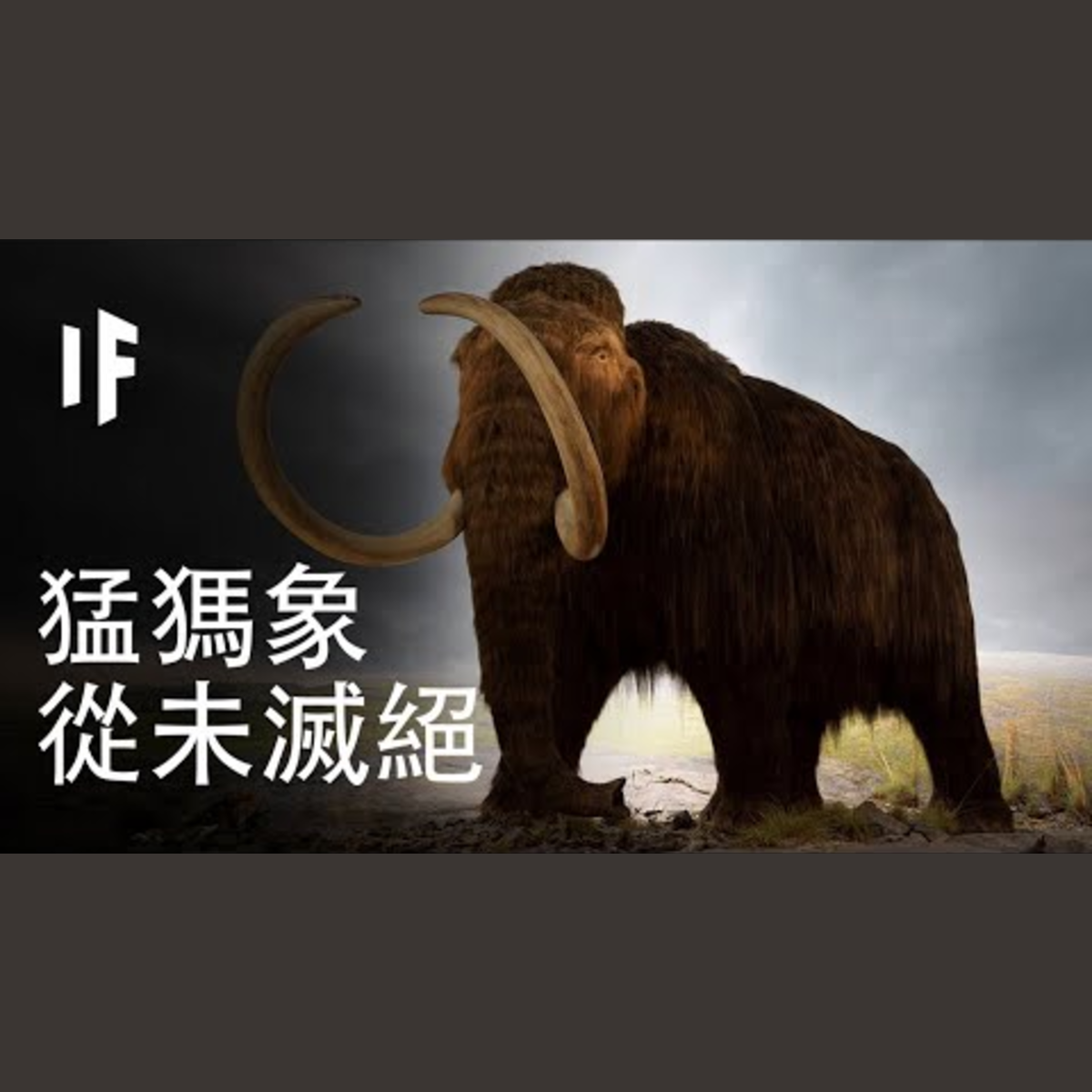 如果猛獁象從未滅絕？｜大膽科學 episode artwork