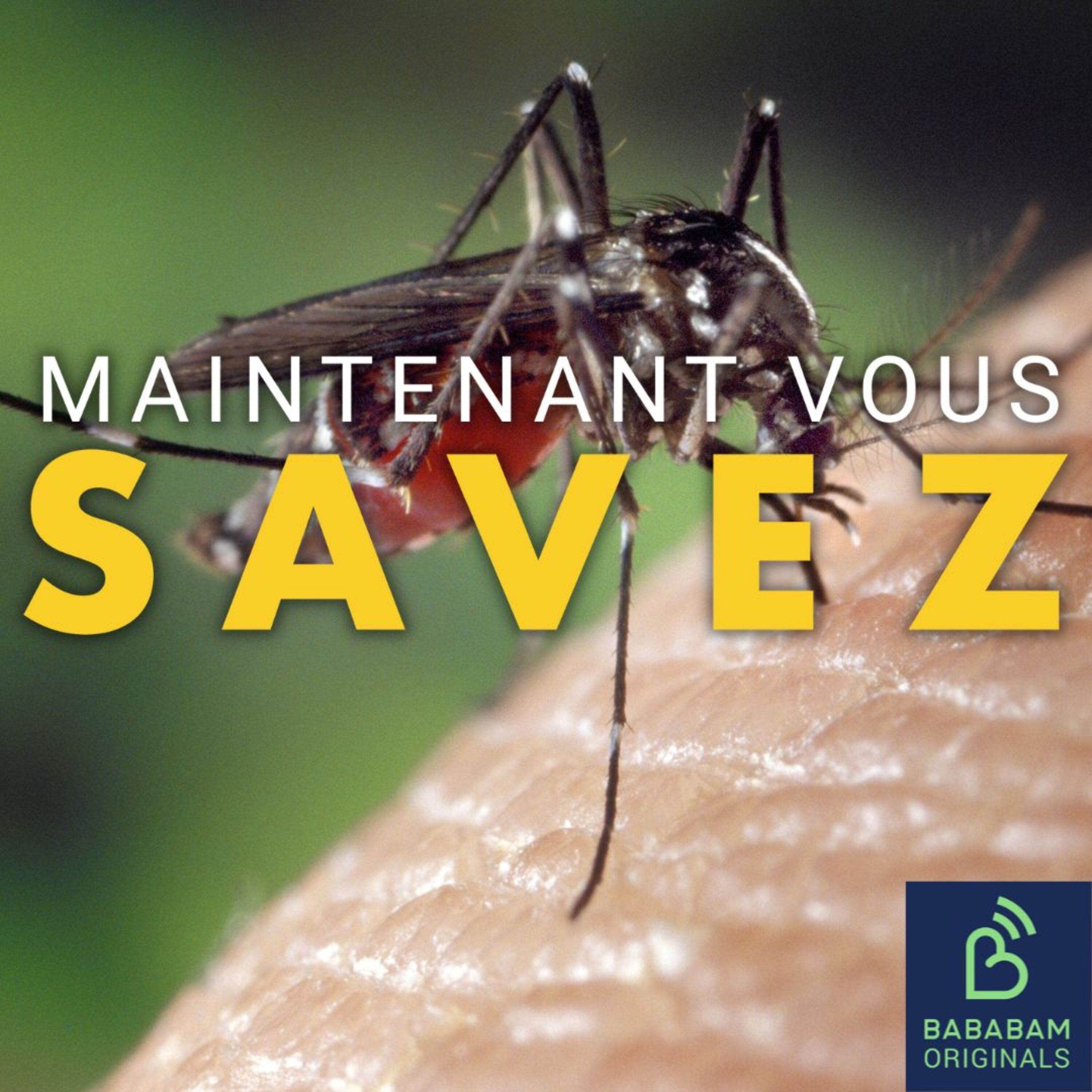 Quelles sont les 3 astuces pour vraiment se débarrasser des moustiques ?