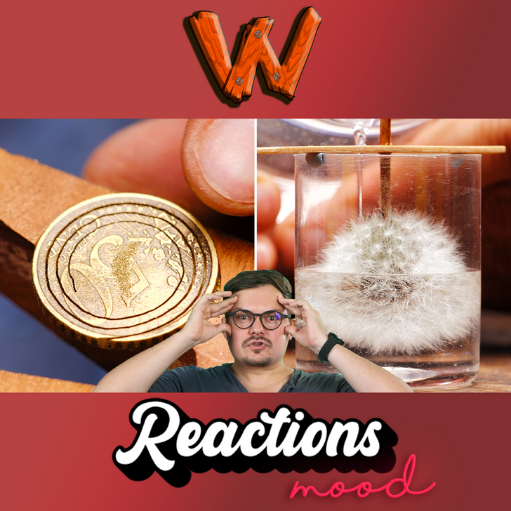 From Coin to Earring: Dandelion Encased in Resin! Reacts episode artwork
