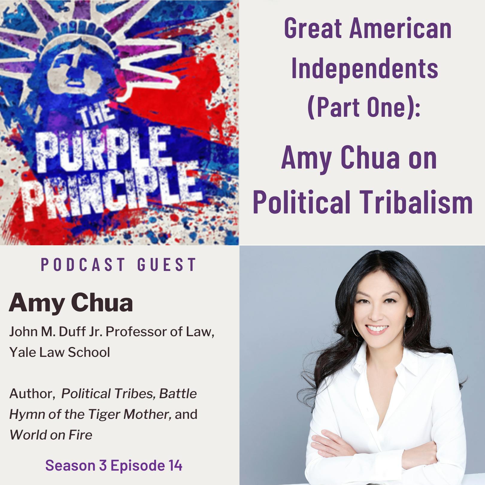 Great American Independents (Part One): Amy Chua on Political Tribalism