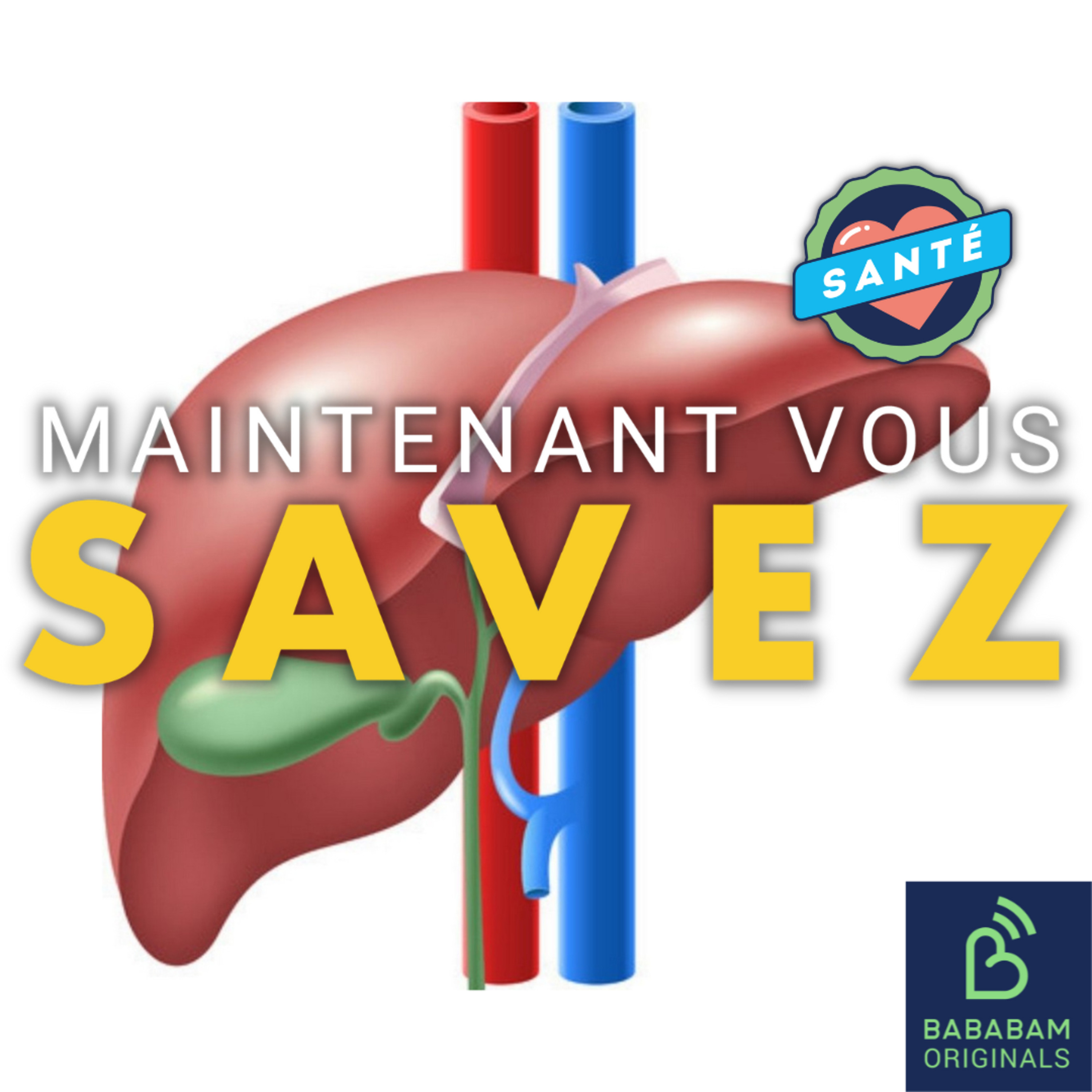 Qu’est-ce que le foie ?