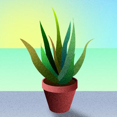Start / Le notizie che ti servono per la giornata
