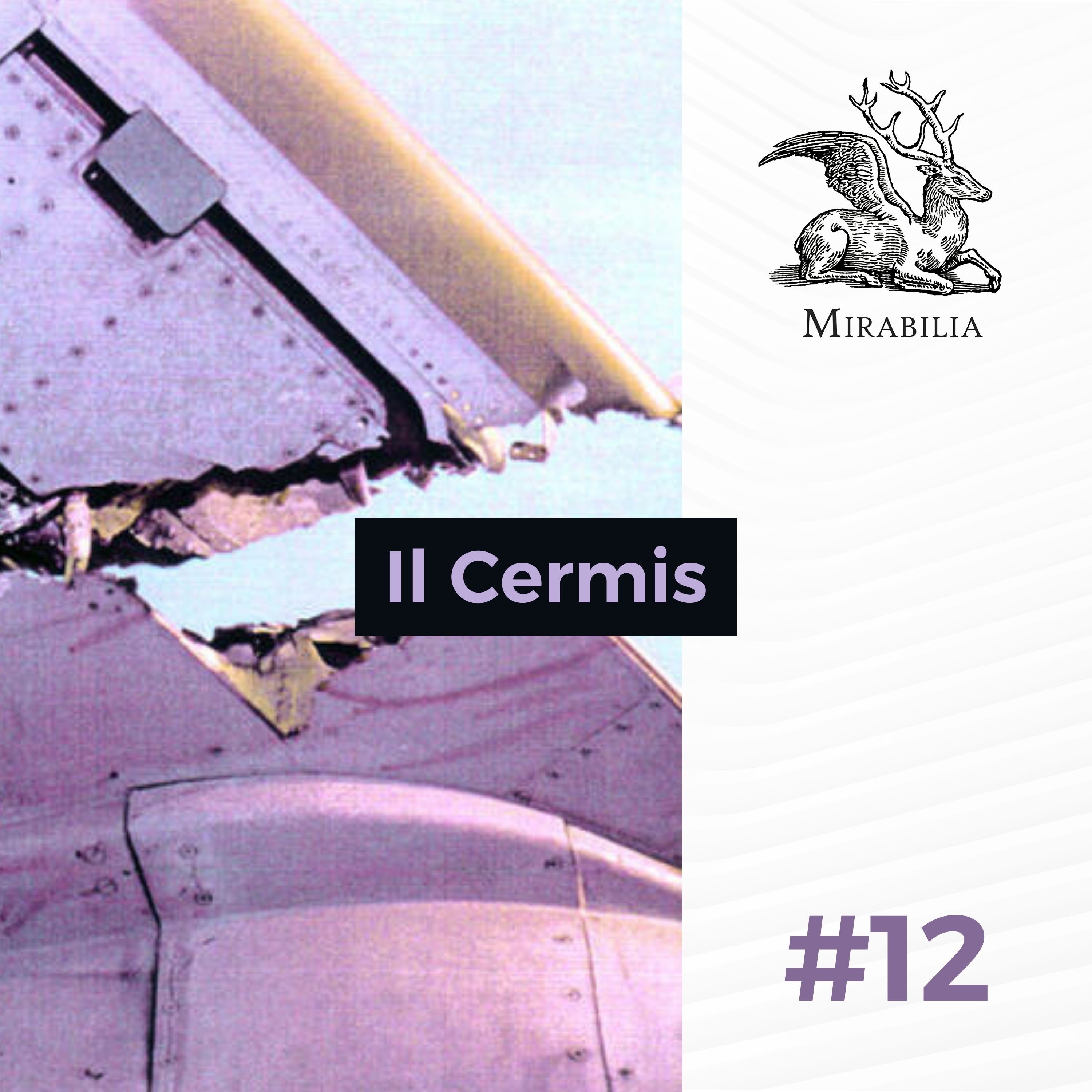 12. Il Cermis