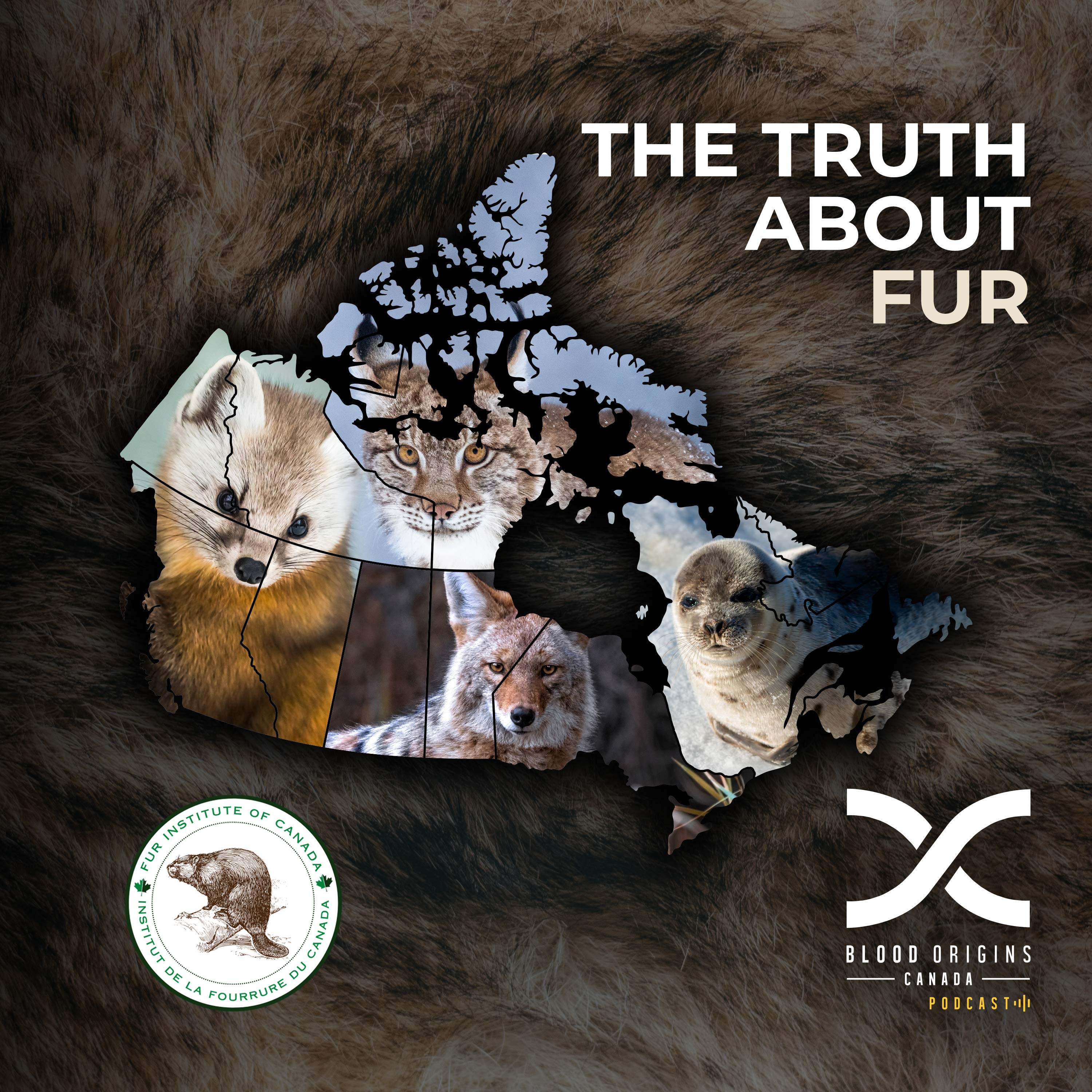 The Earth Might Be Flat But Fur Prices Aren’t || Truth About Fur || Ep. 18 episode artwork
