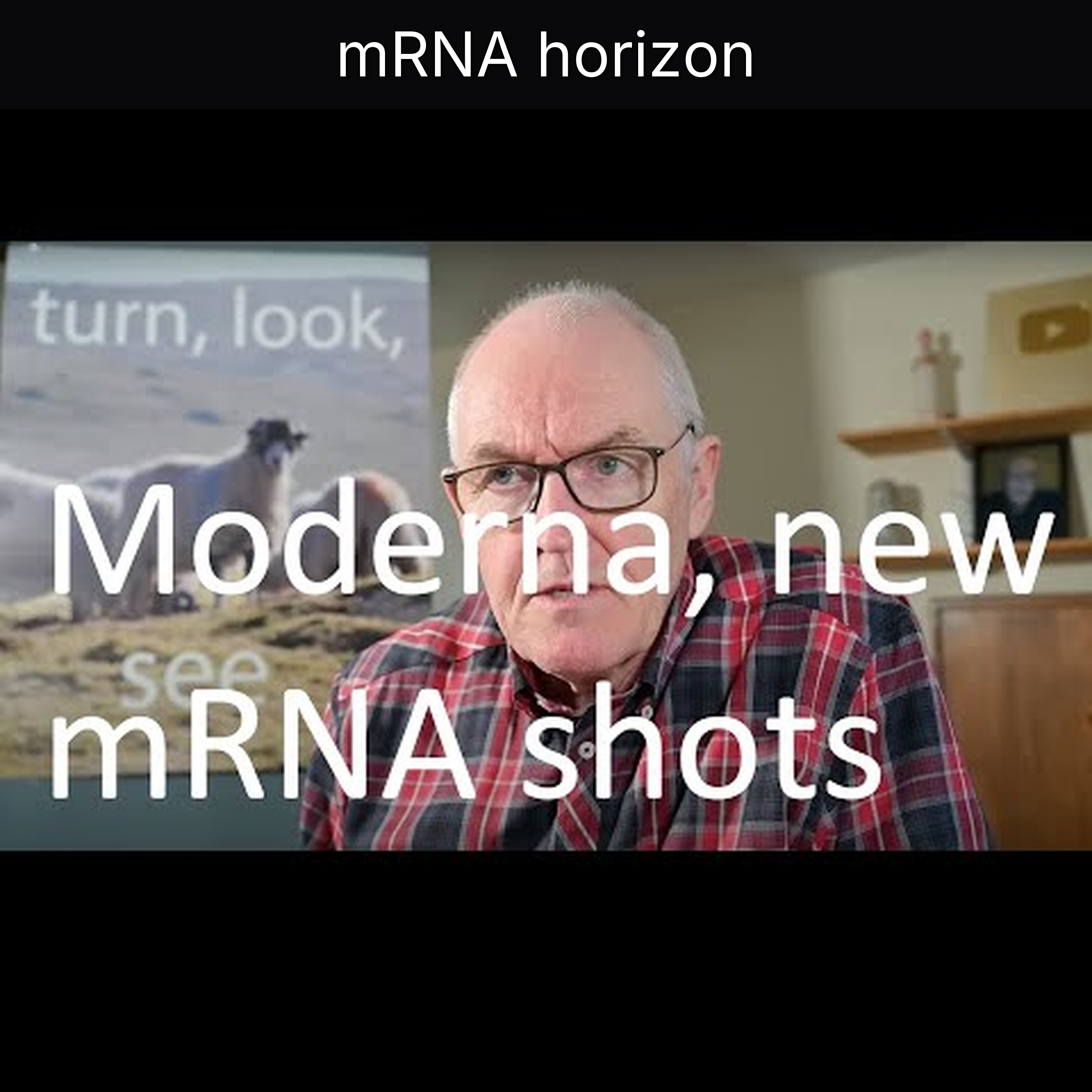 mRNA horizon