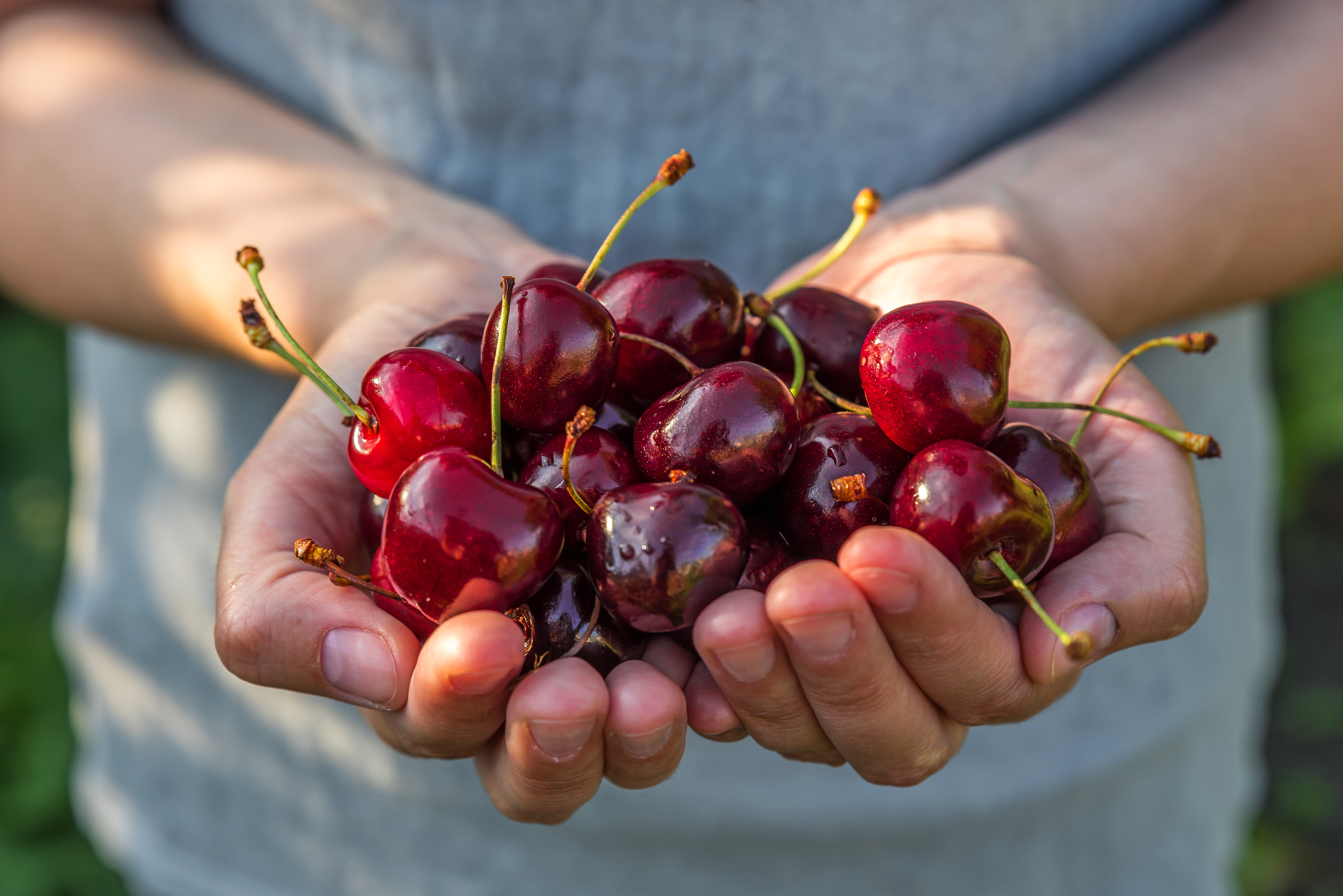 Cerezas: pequeñas, frescas y con mucho juego episode artwork