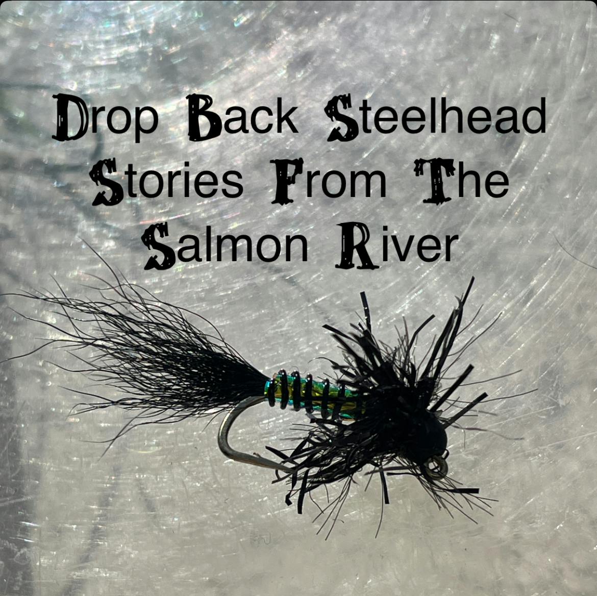Drop Back Steelhead | Stories From The Salmon River