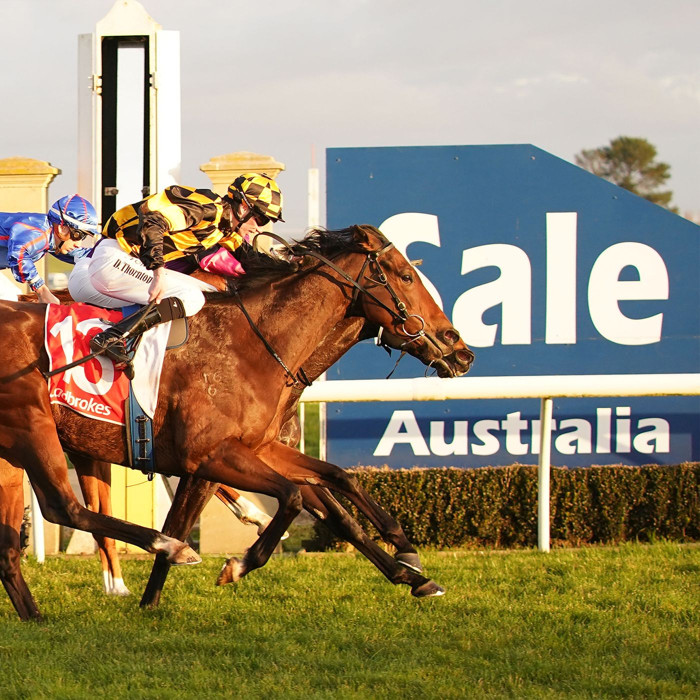Sale Turf Club Brad Evans chats to Andrew Kuuse re Sundays meeting episode artwork