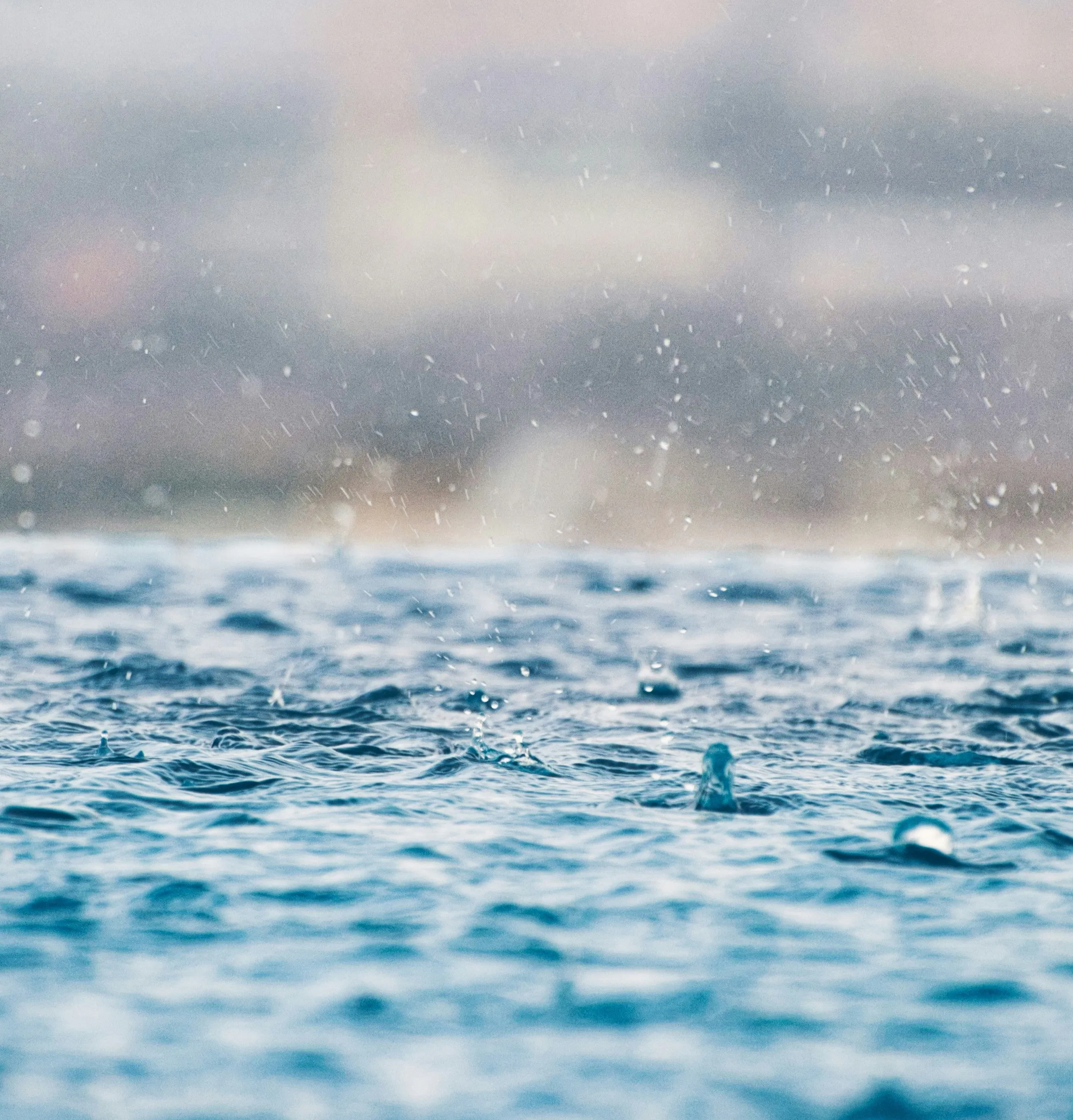 Rain Falling on Plastic Roof: 8-Hour Serenade for Relaxation and Tranquility episode artwork