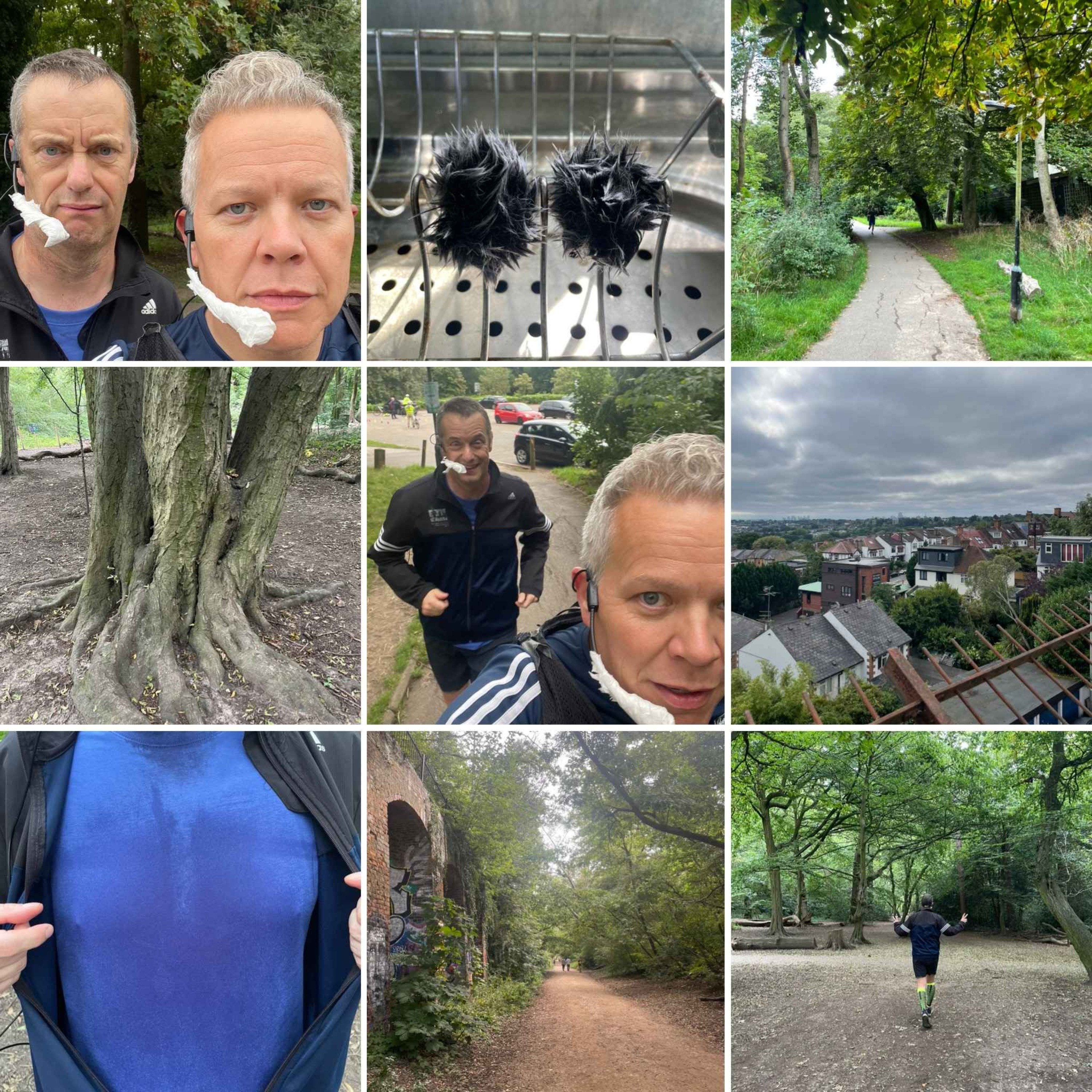 Not Out Of The Woods Yet