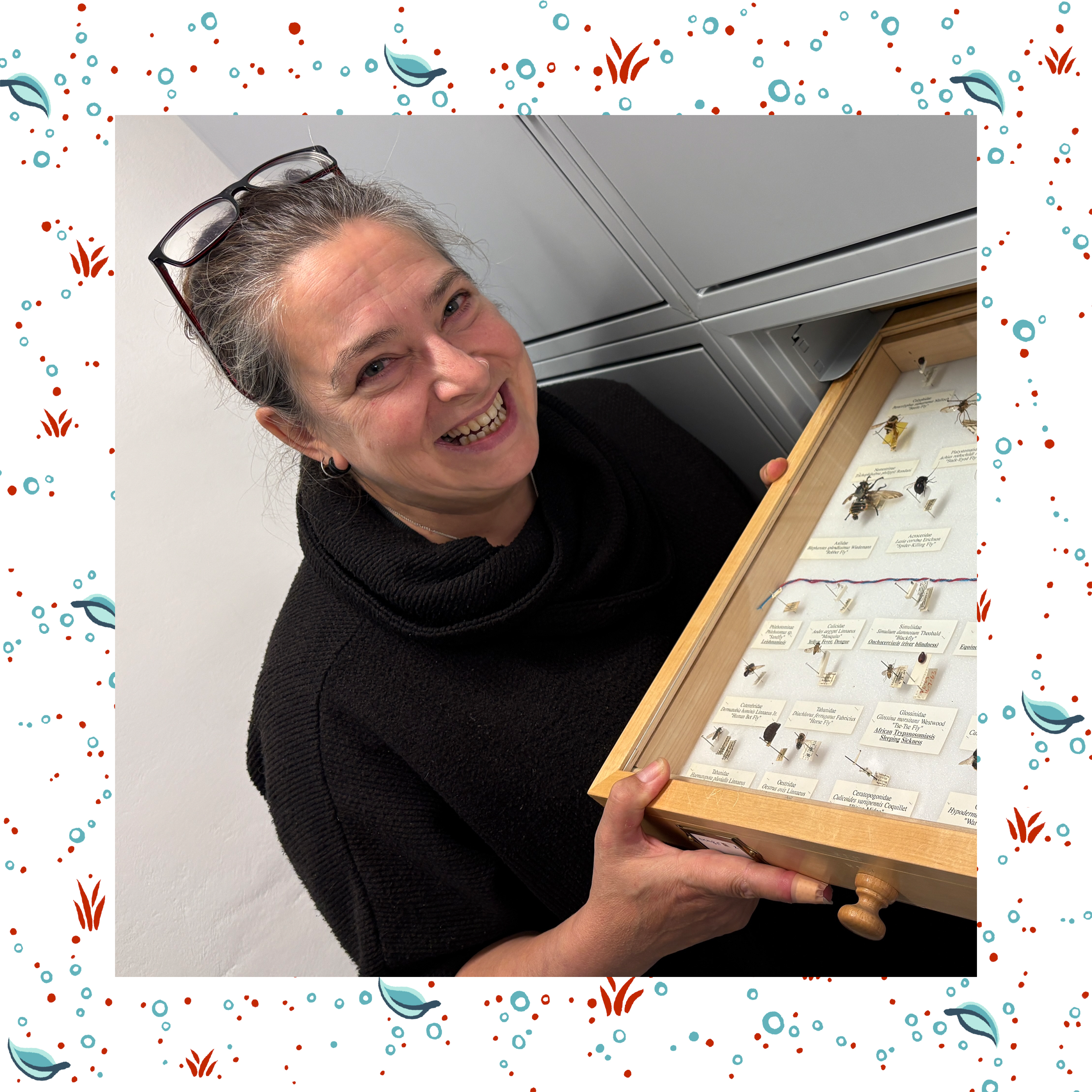 Why flies matter, with Dr Erica McAlister episode artwork