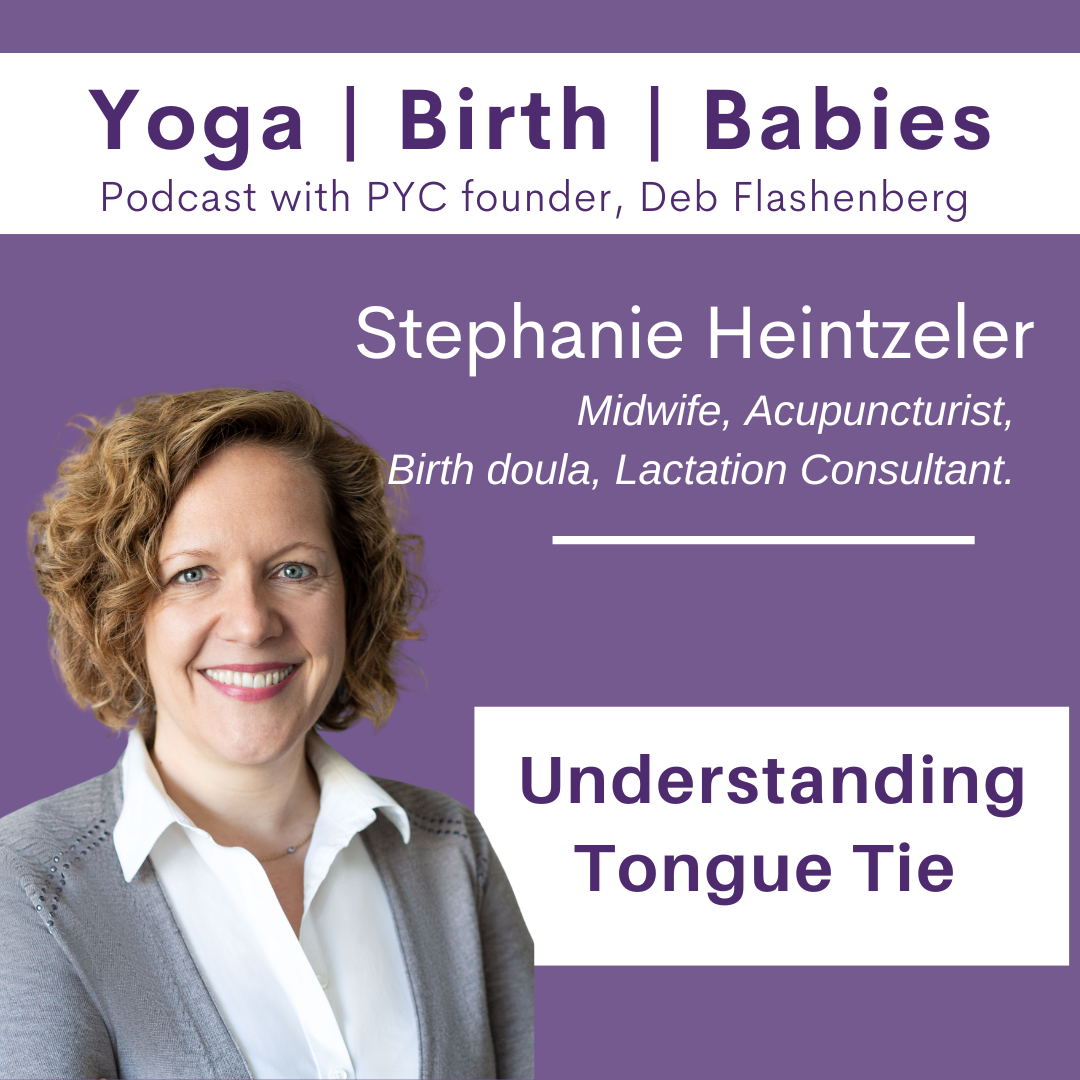 Understanding Tongue Tie with Stephanie Heintzeler episode artwork