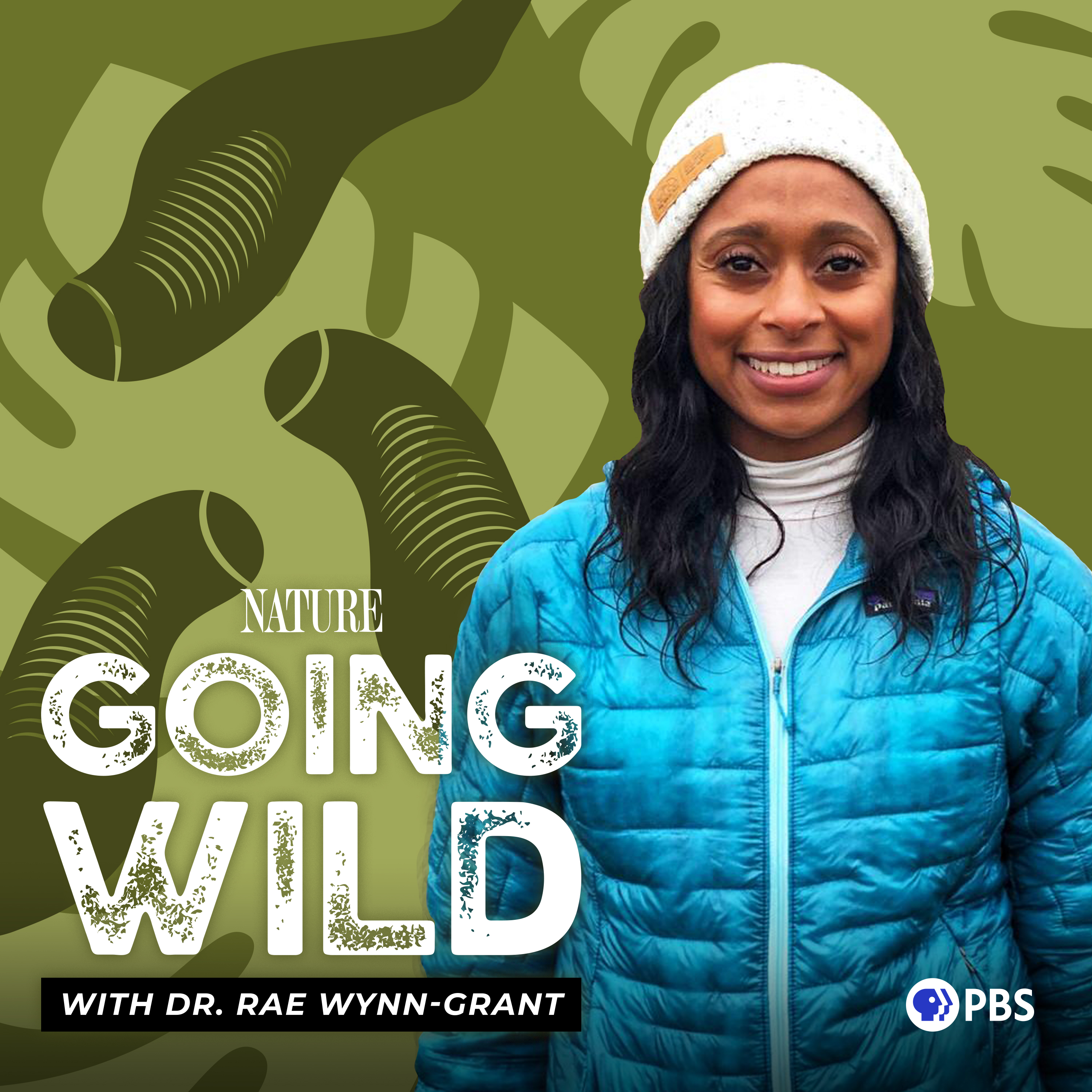 Leeches, Rice, Tampons