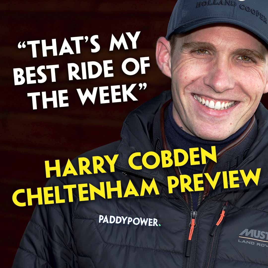 HARRY COBDEN'S CHELTENHAM PREVIEW | 28 RACES | Cheltenham 2025 Tips episode artwork