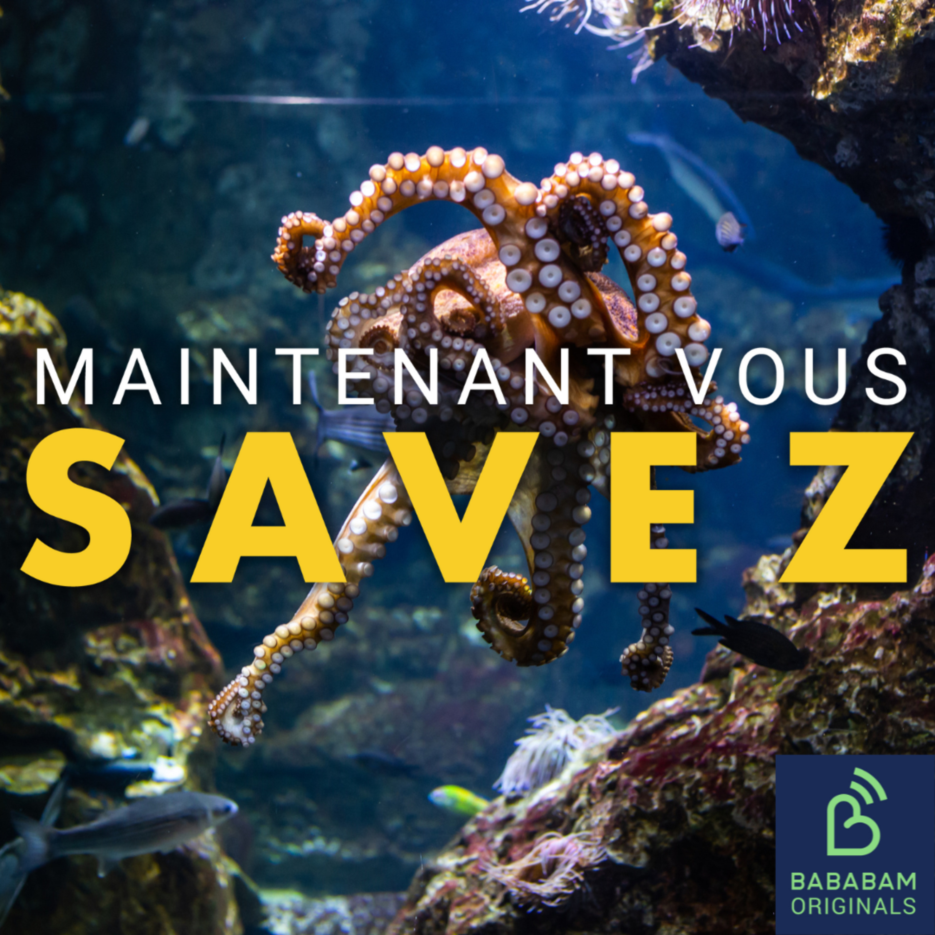 Pourquoi les pieuvres intriguent-elles autant les scientifiques ? 