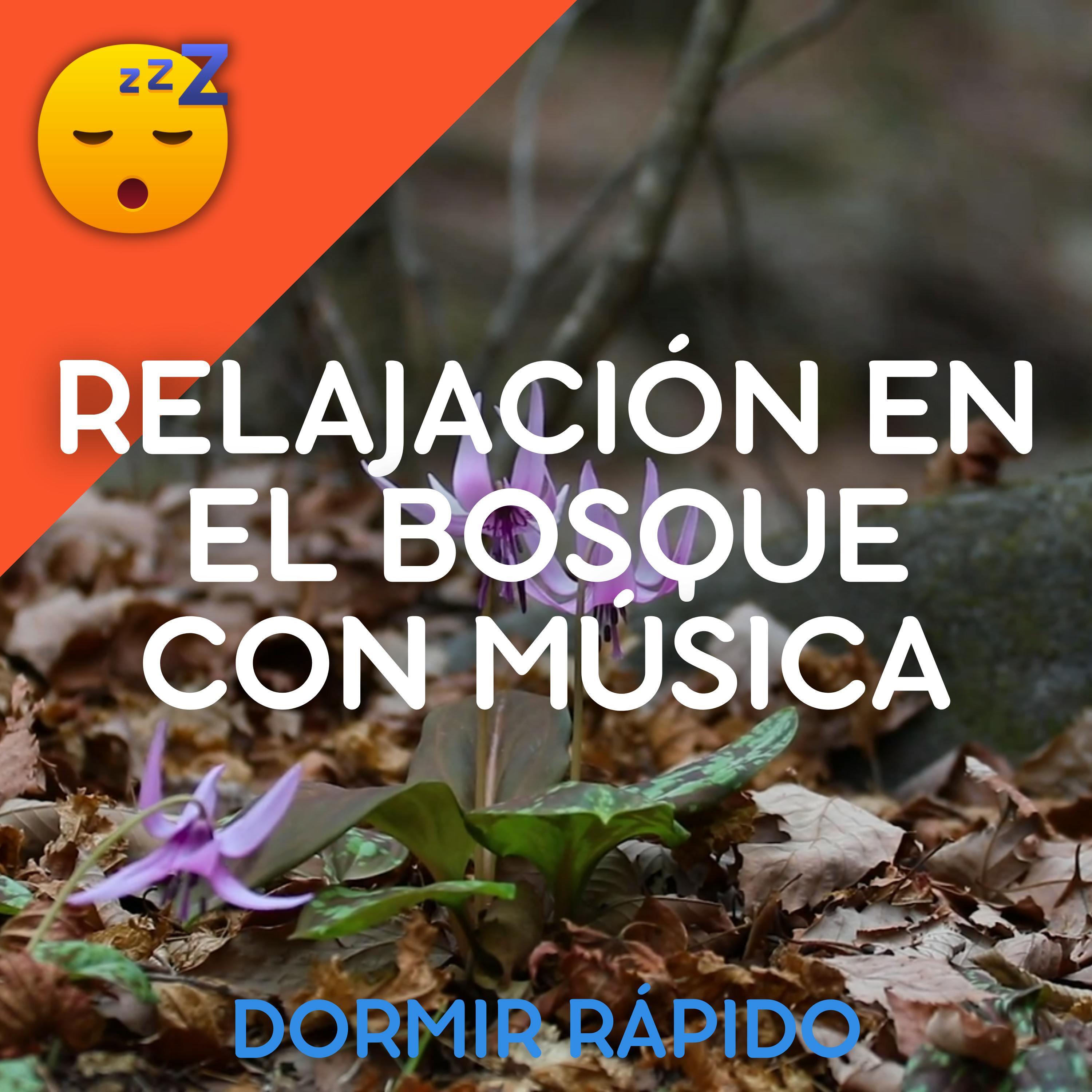 Relajación en el BOSQUE con MÚSICA Suave para un SUEÑO Profundo episode artwork