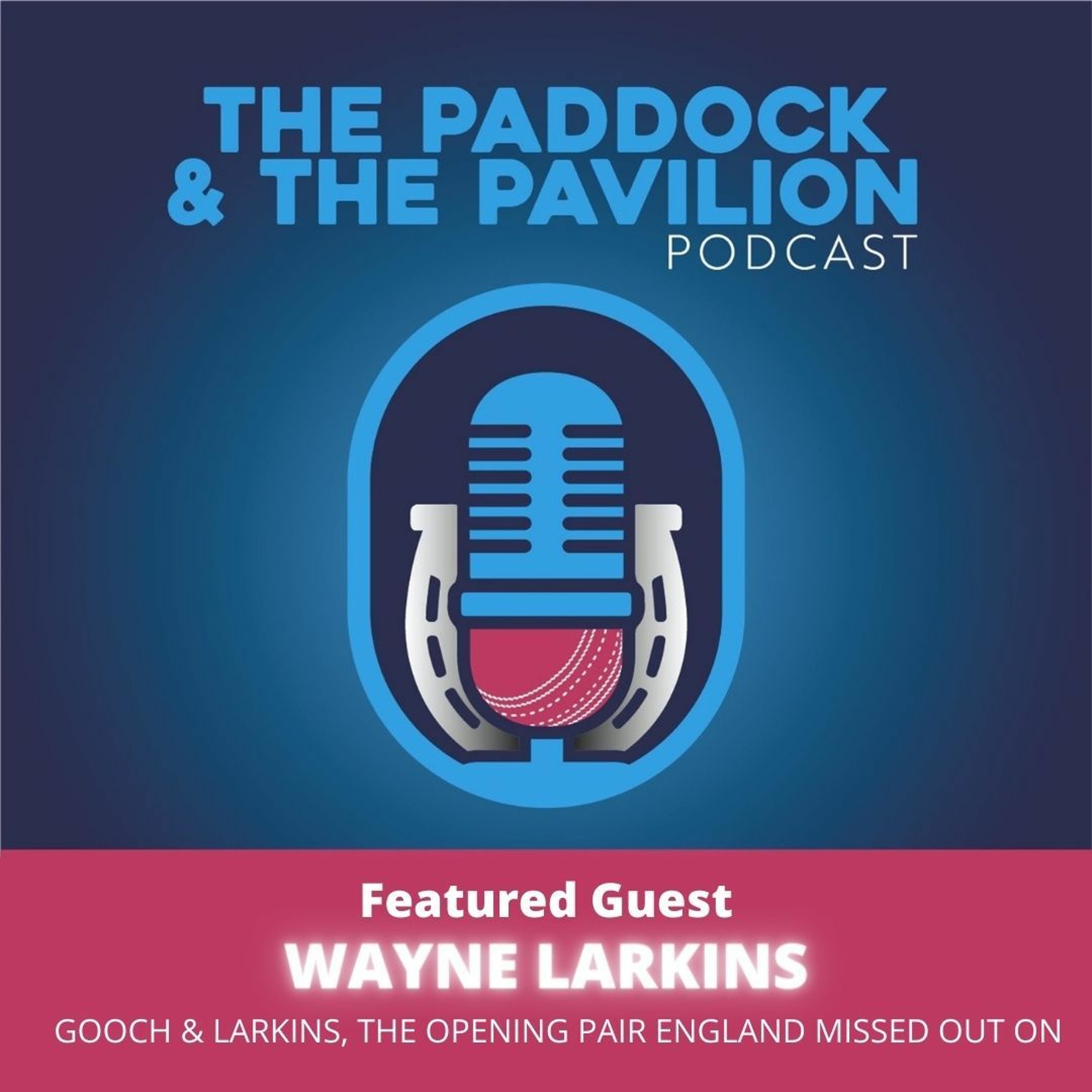 Ep 108 - Wayne Larkins - Gooch & Larkins, the opening pair England missed out on episode artwork