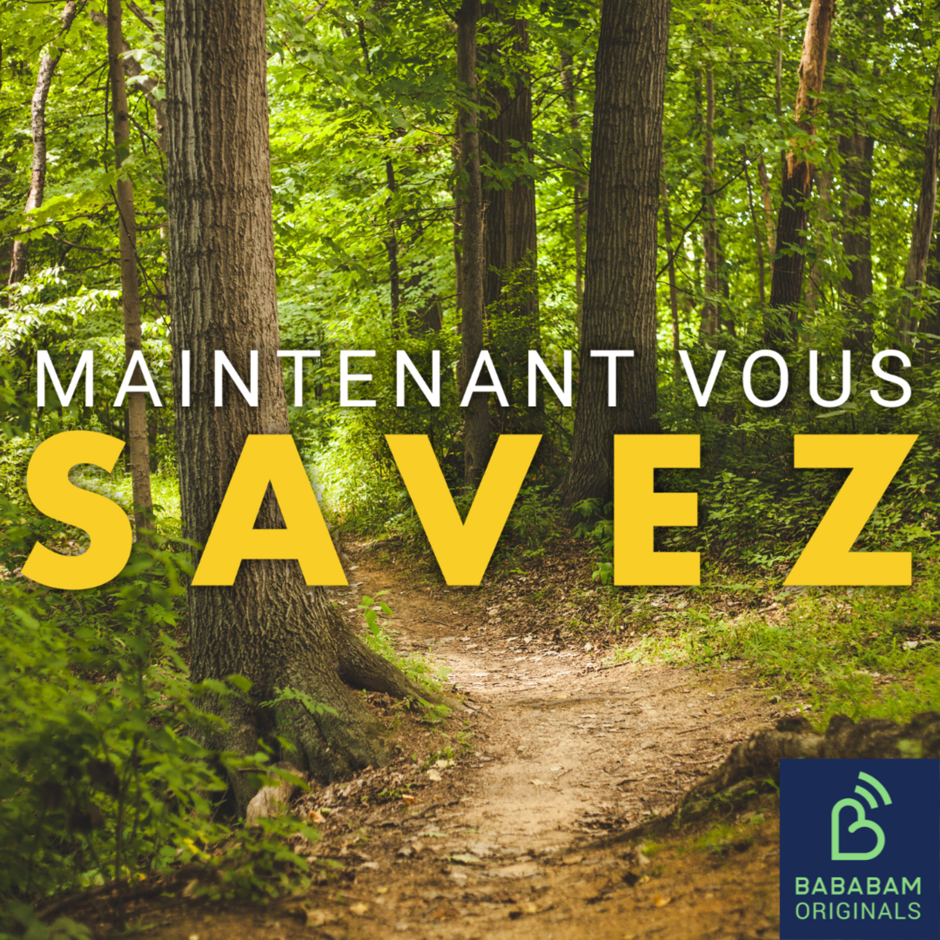 Qu'est-ce que la ZAD ?