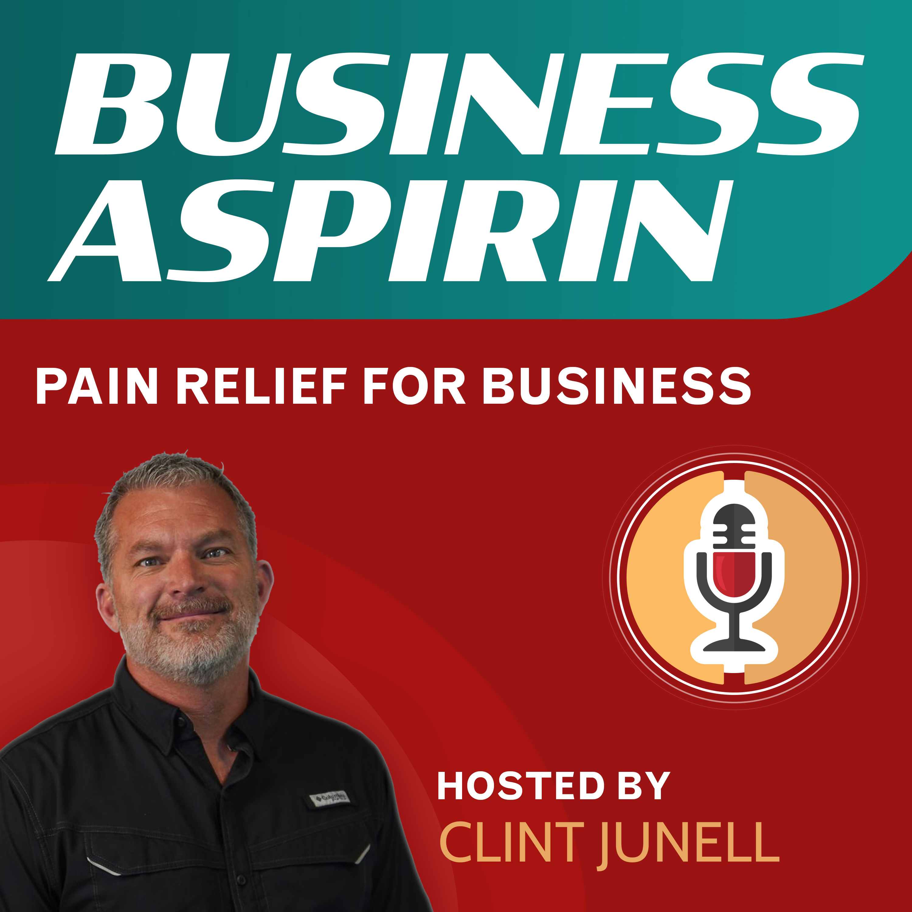 Business Aspirin:  Pain Relief for Business