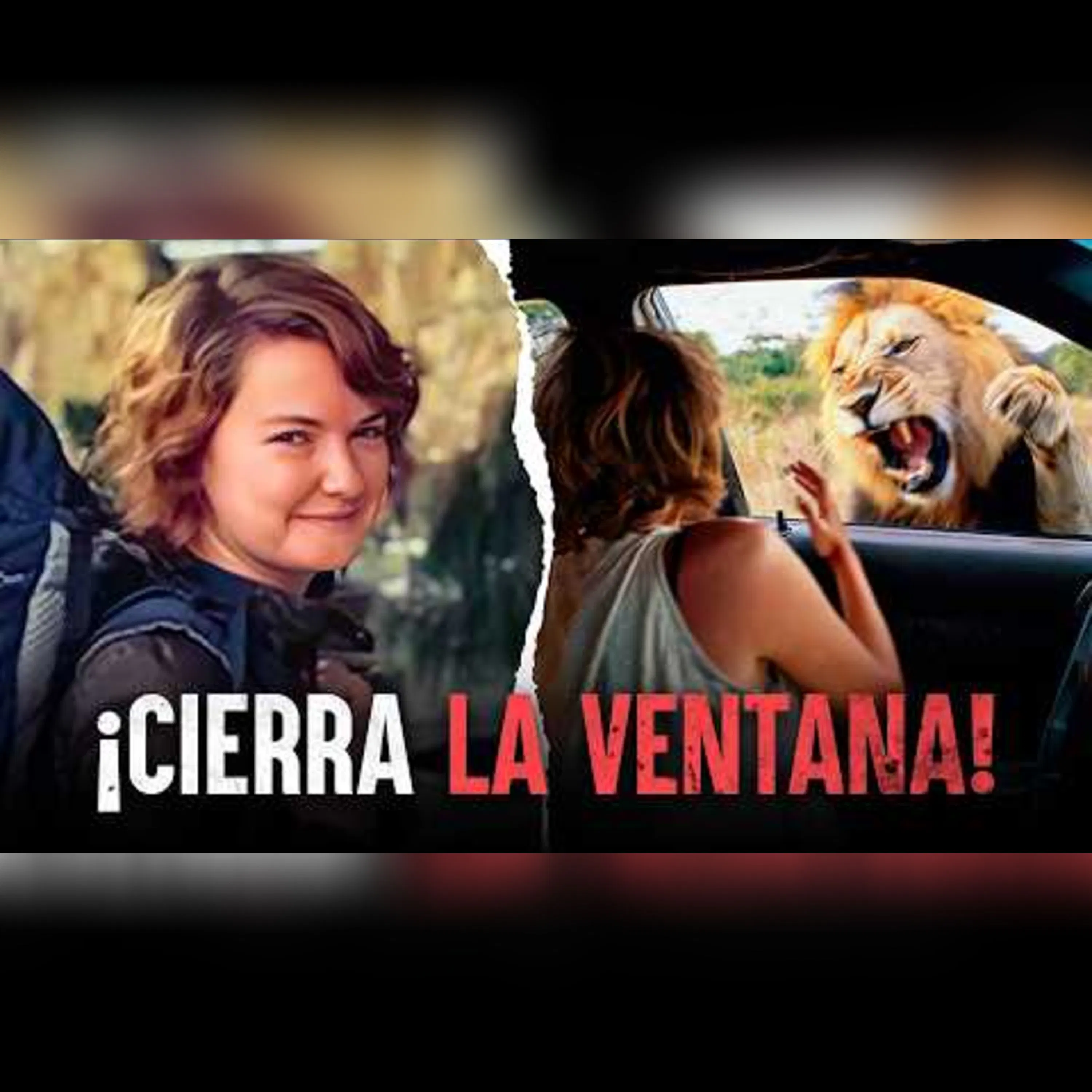 Humano vs. león - Ataques de leones reales captados en cámara episode artwork