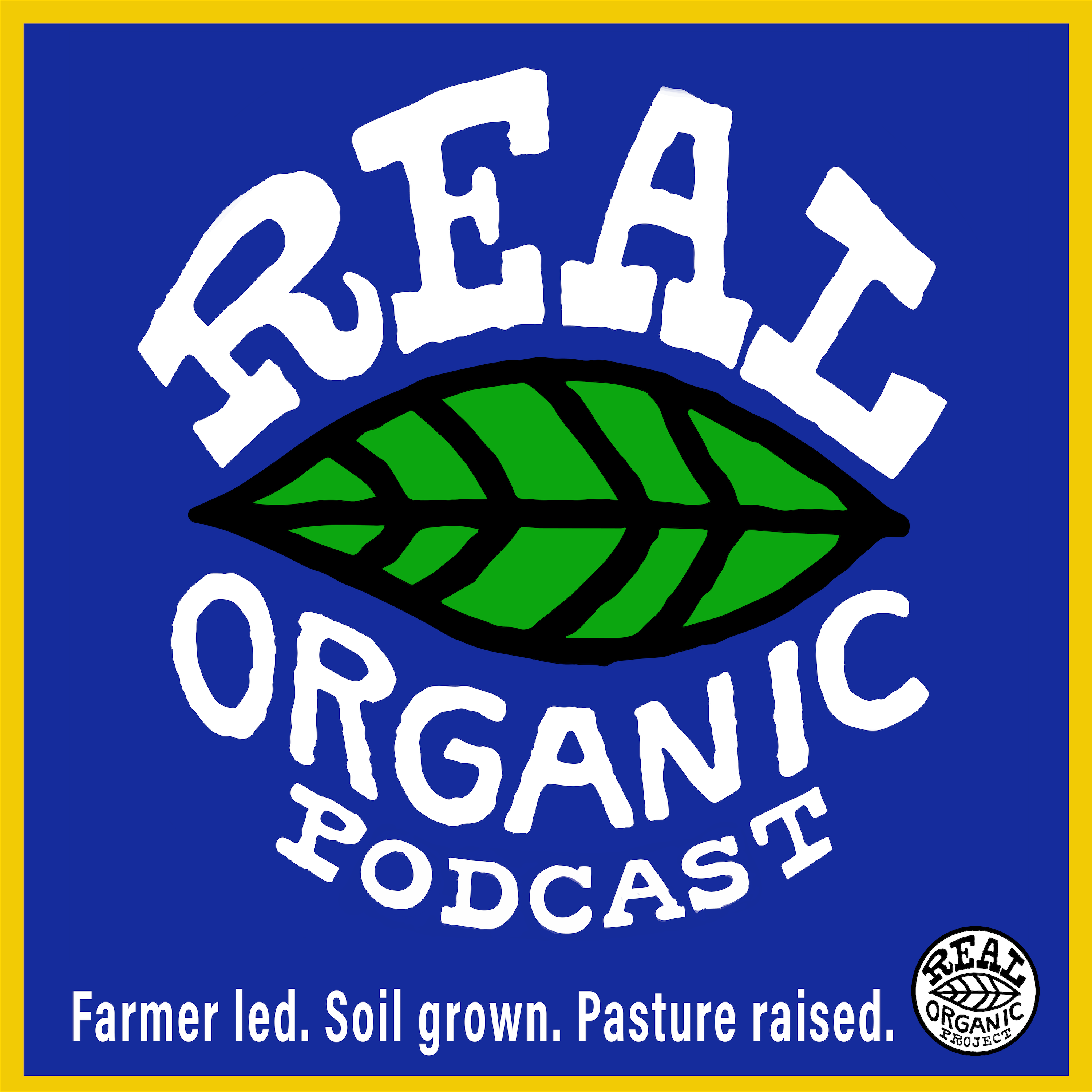 Podcast Image