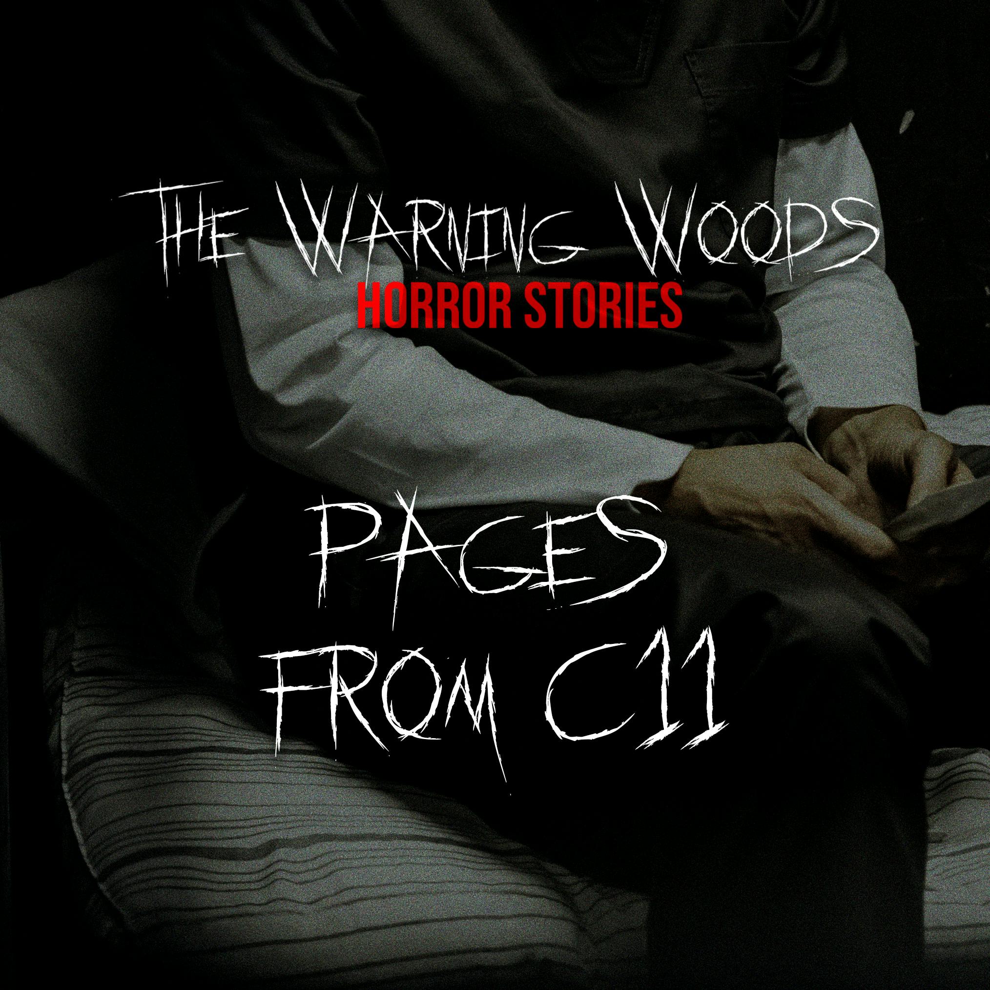 Pages from C11 Pages from C11