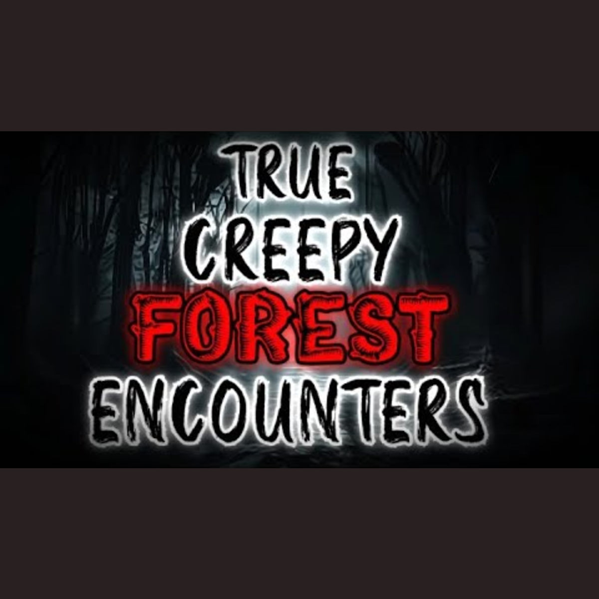 Creepy Forest Encounters: Scary Stories to Help You Fall Asleep
