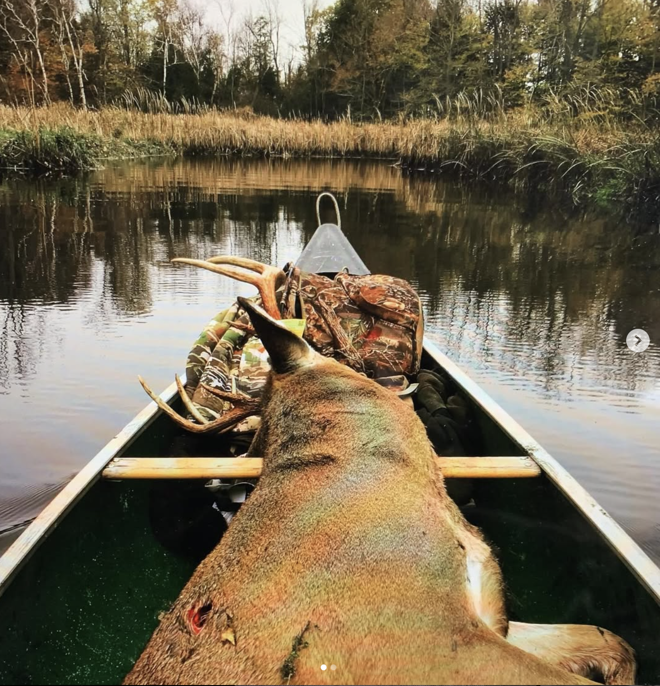 EP. 441: Professional Mindset To Kill Mature Bucks