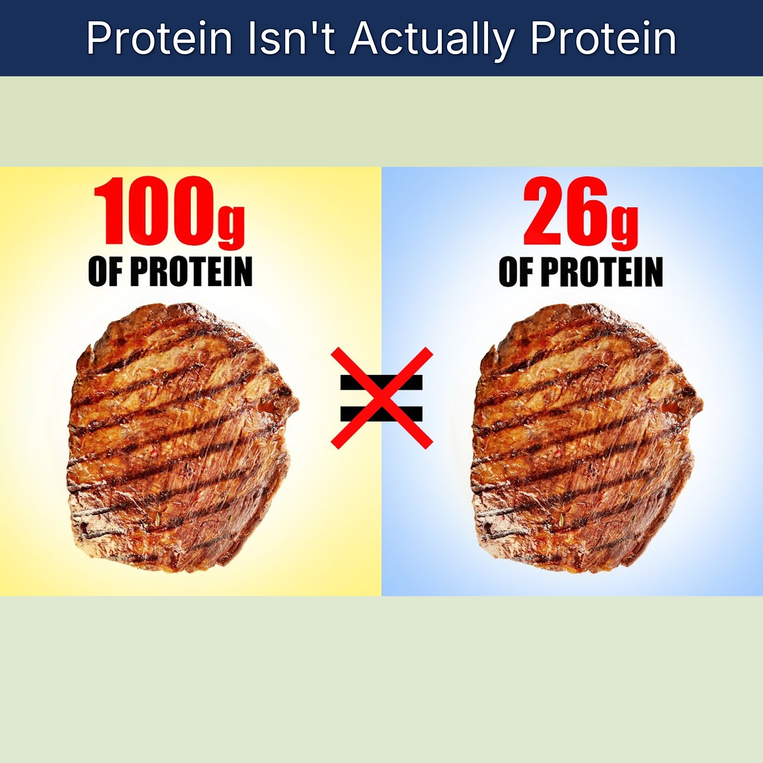 Protein Isn't Actually Protein episode artwork