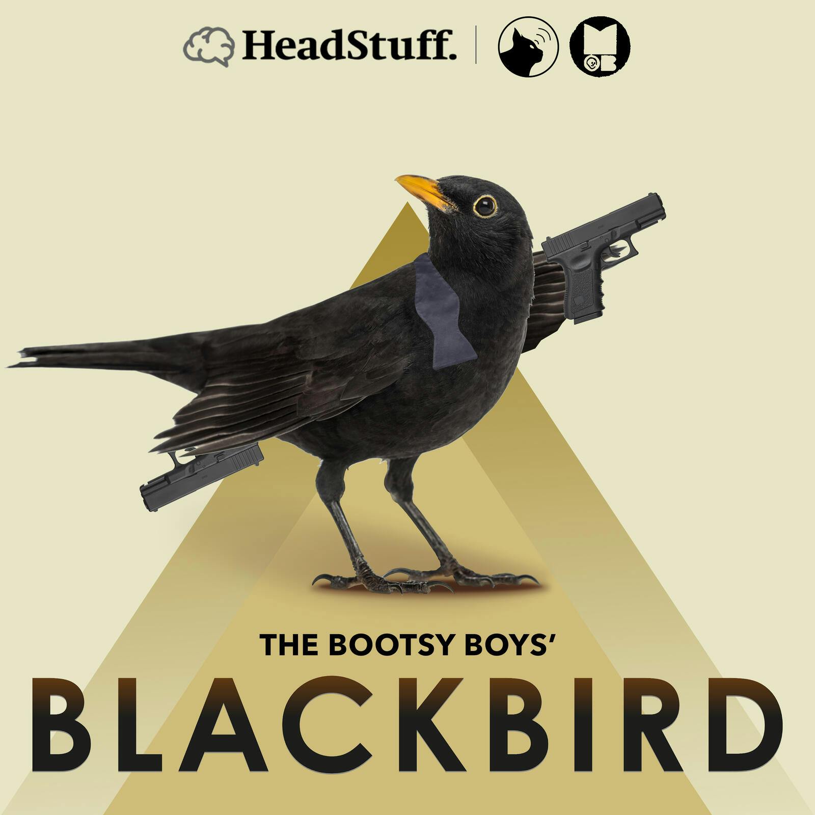 Blackbird Trailer