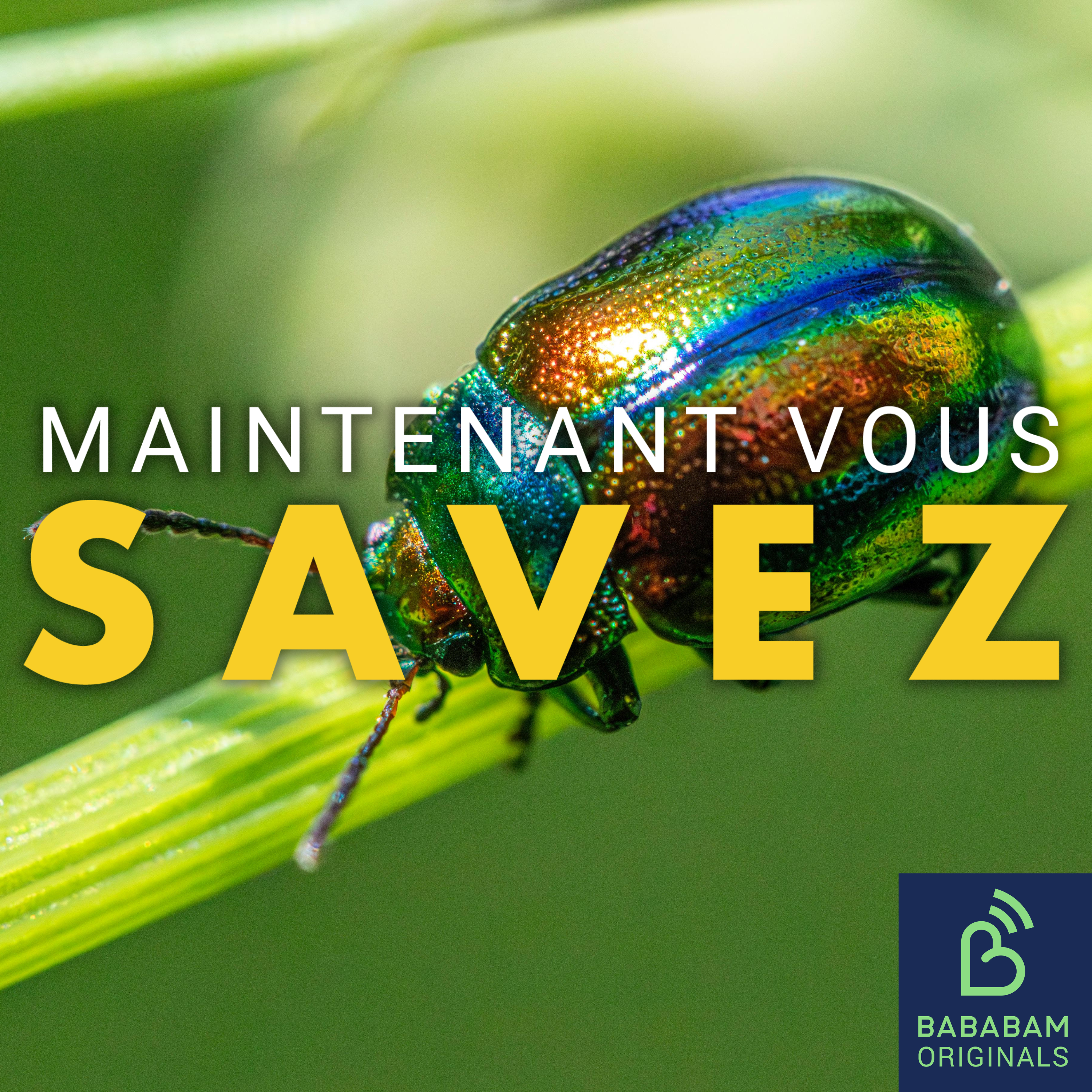 Qu’est-ce que le syndrome du scarabée ?