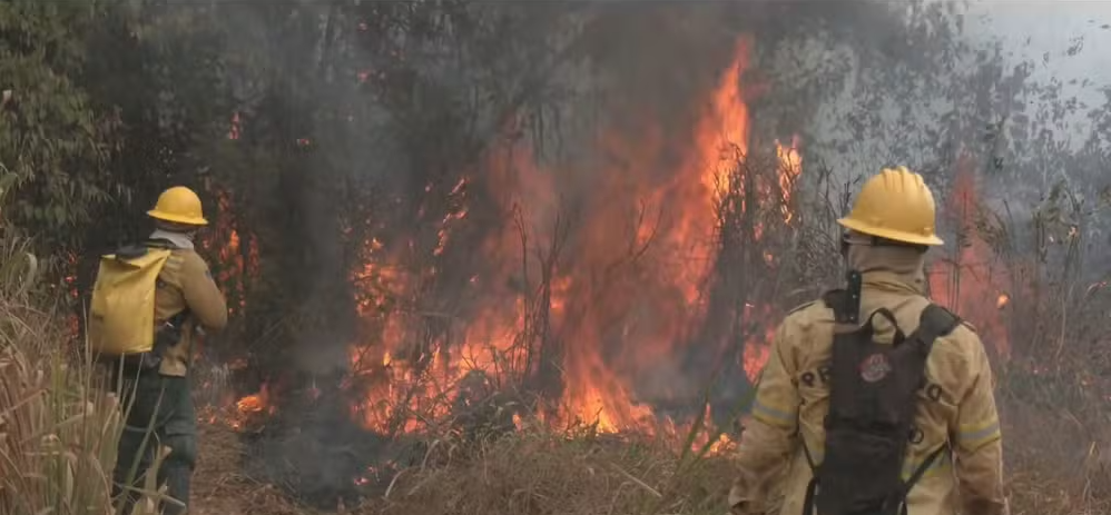 Cidade de Altamira decreta situação de emergência por incêndios florestais no Pará episode artwork
