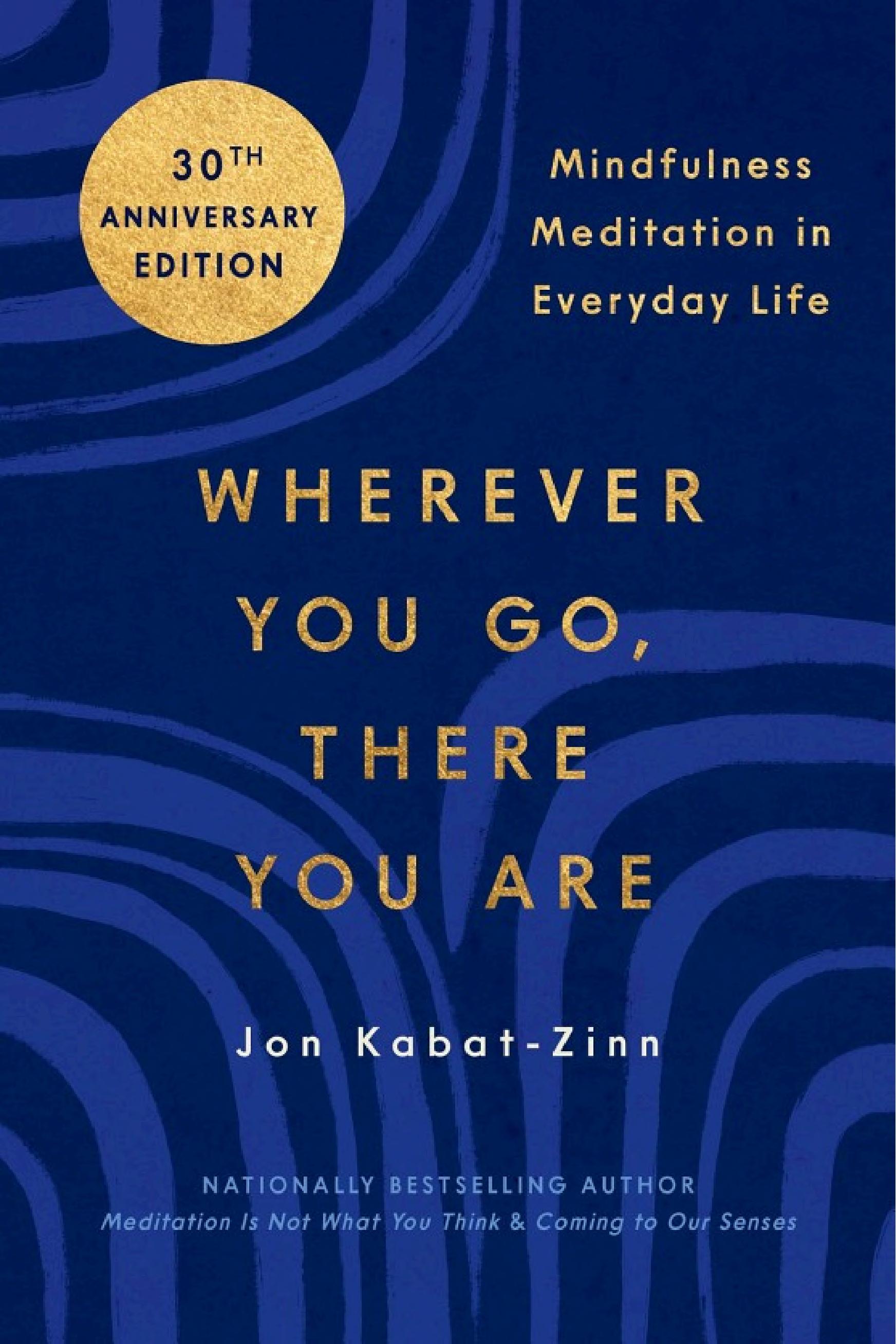 Donde quiera que vayas, ahí estás Resumen | Jon Kabat-Zinn episode artwork